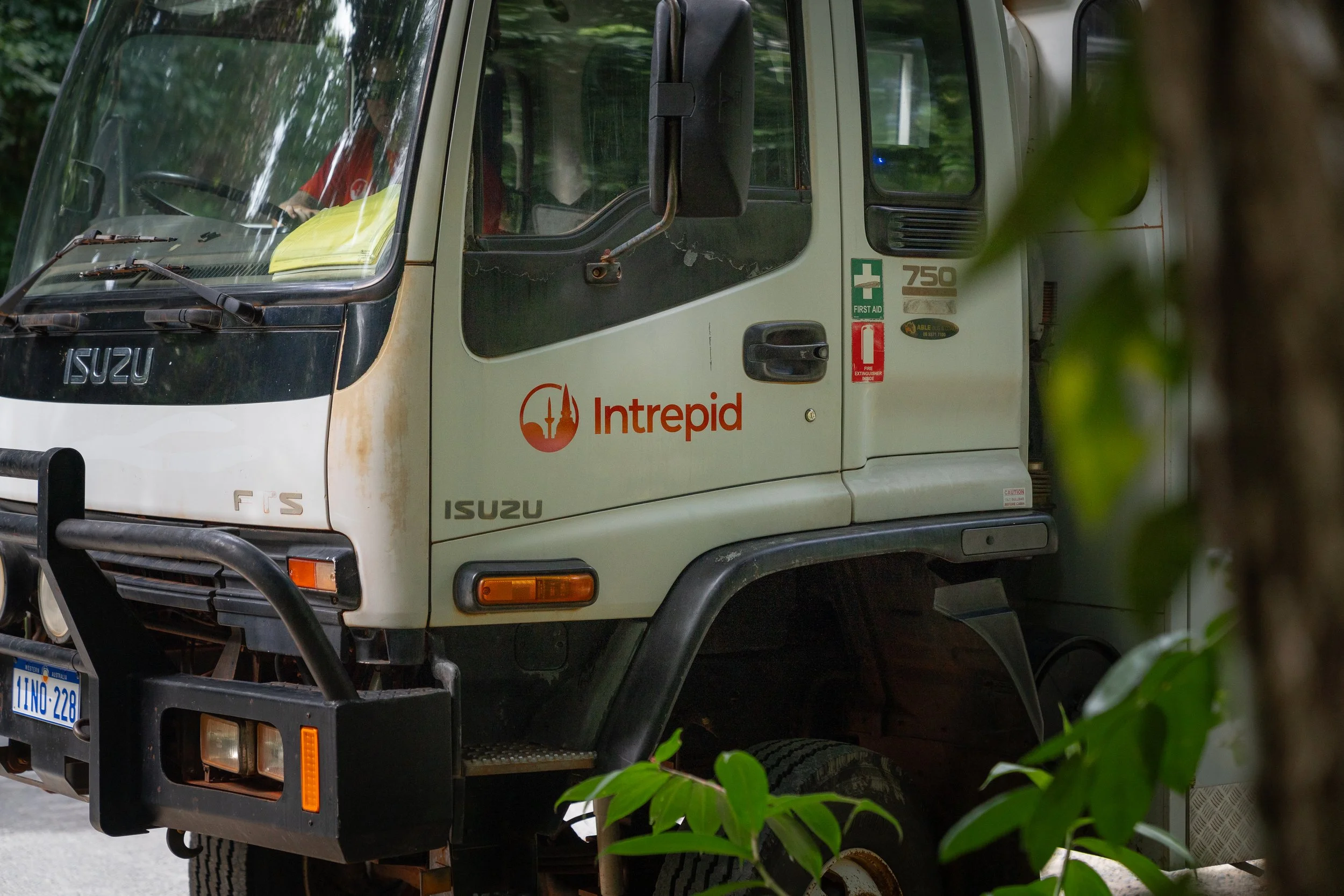 Australia-Cape-York-Daintree-Rainforrest-intrepid-truck-leaves-logo.jpg
