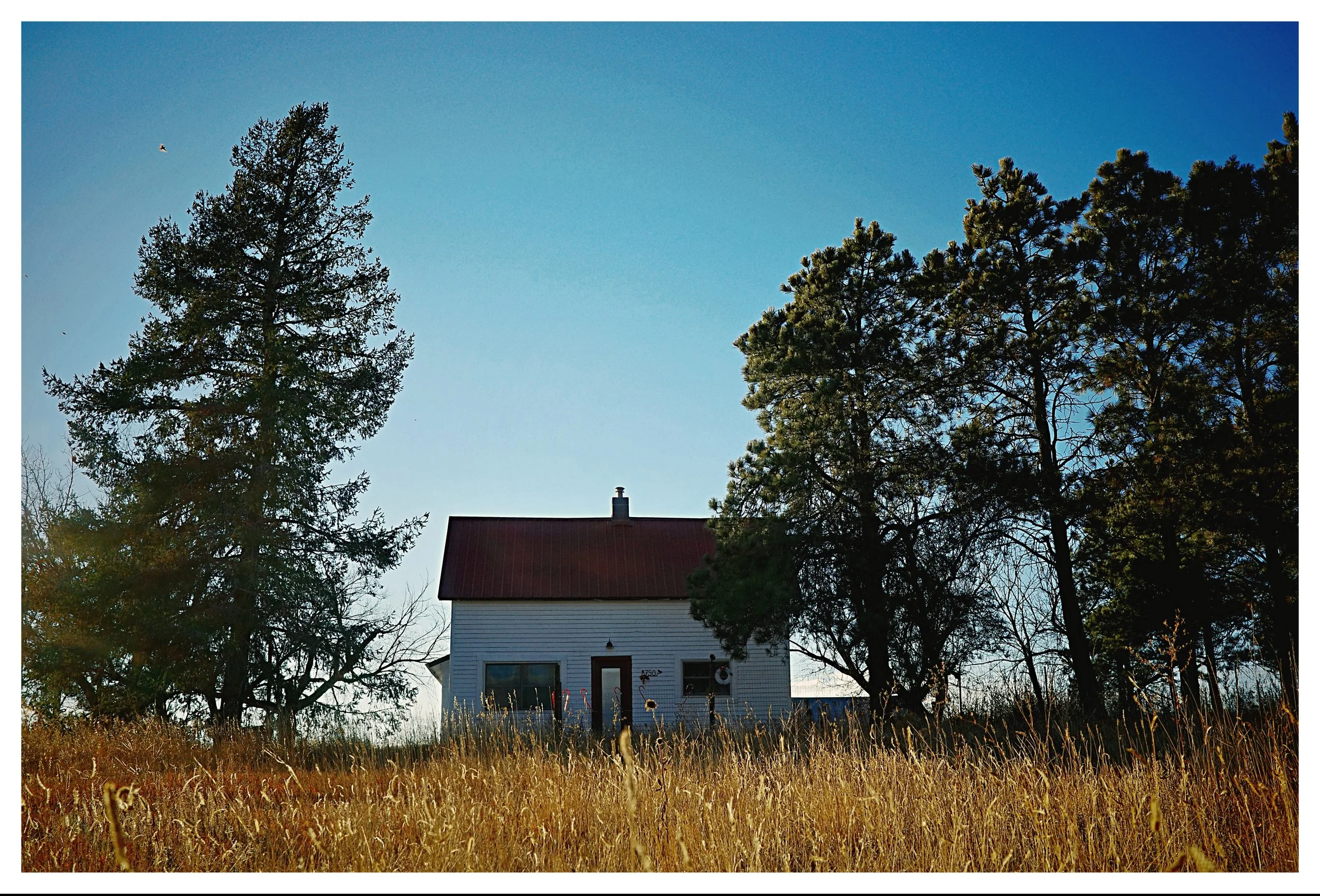 house (1).jpg