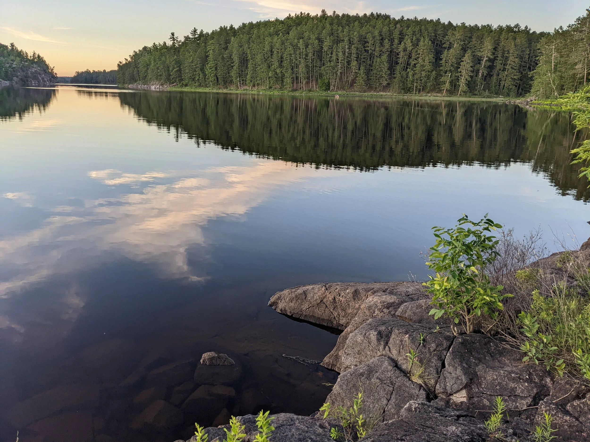 The Power of a Magnetic Vision: Why Every Founder Needs One