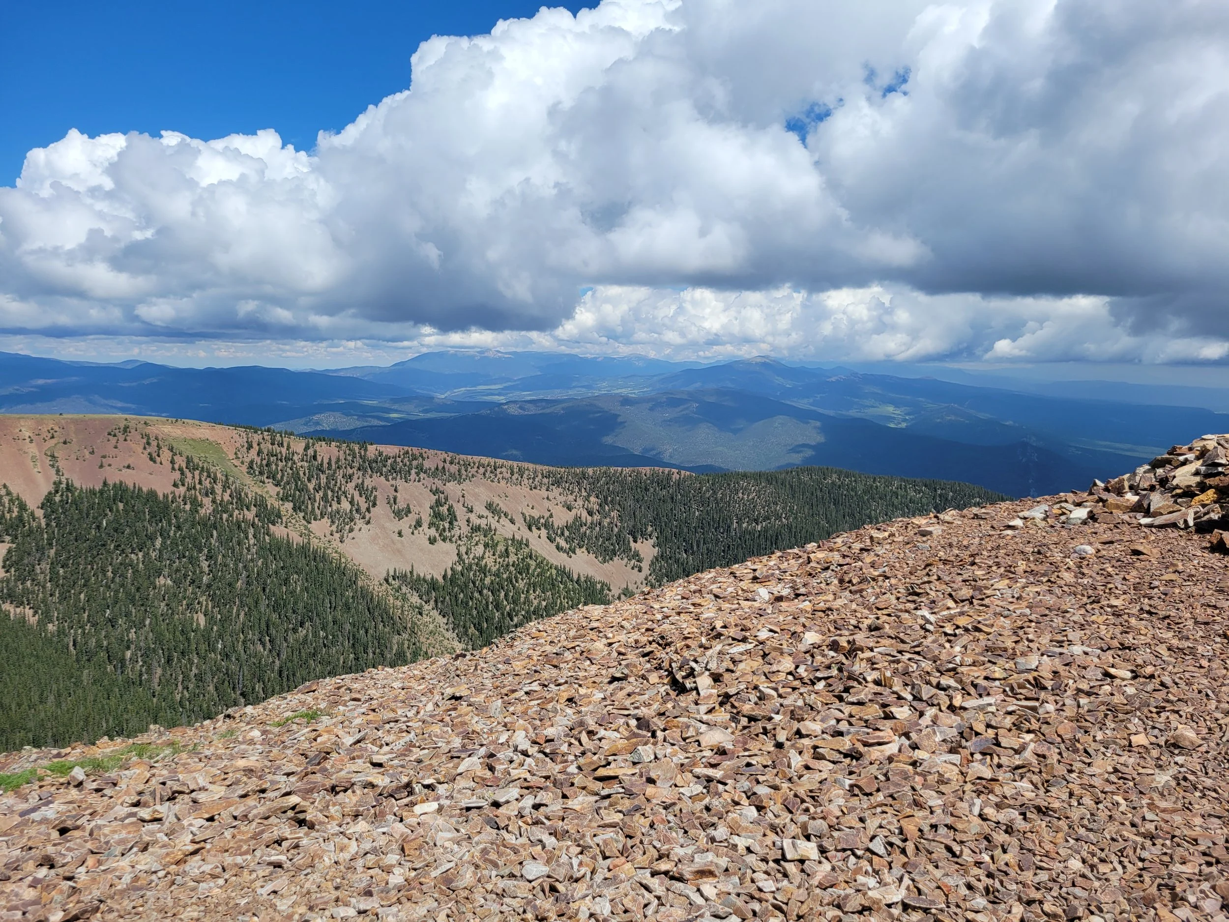 Life Is for the Gambler: Why Your Vision Requires Courage