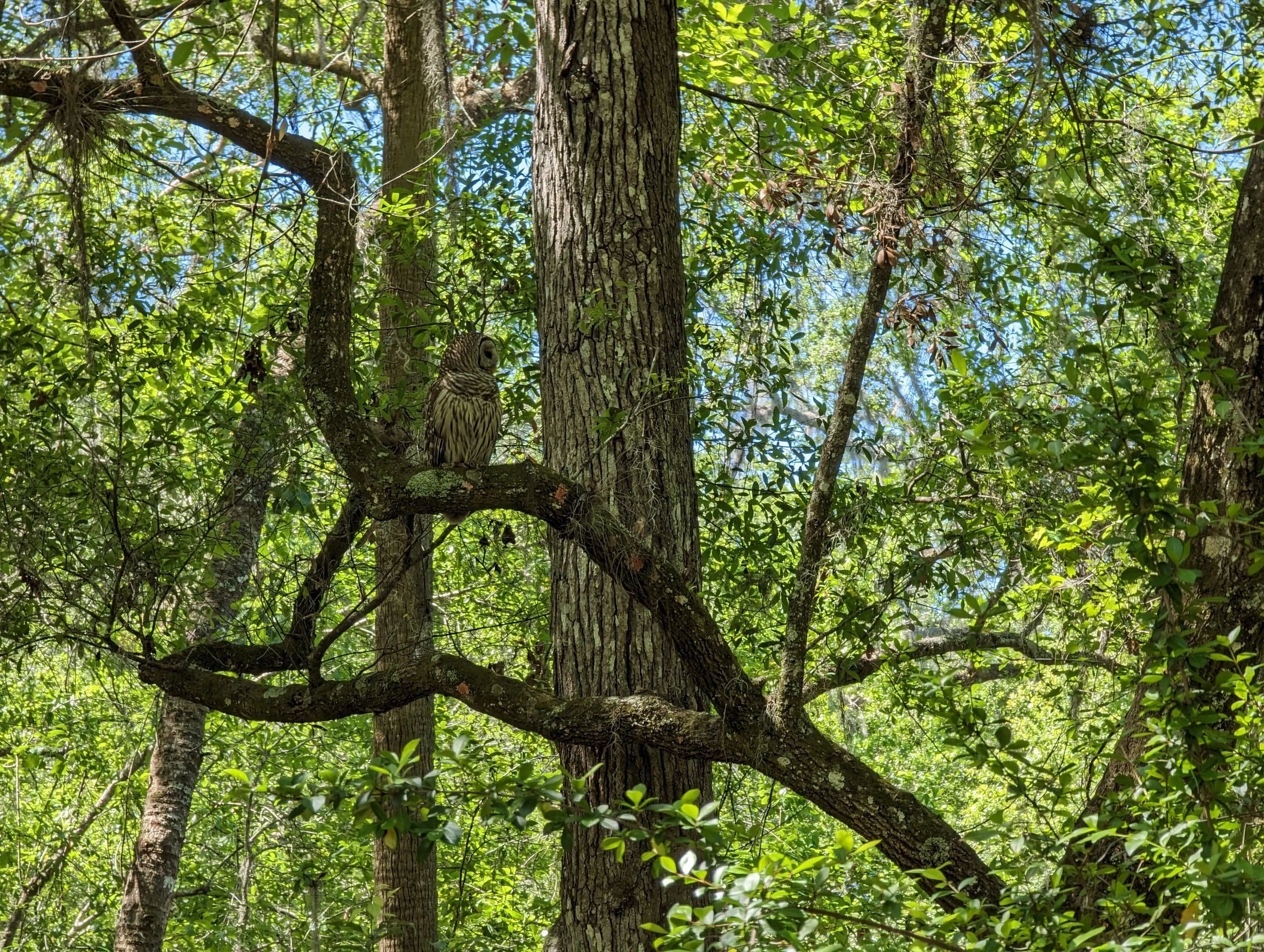 Investors Want You to Find Them — But Only If You’re Worth Finding