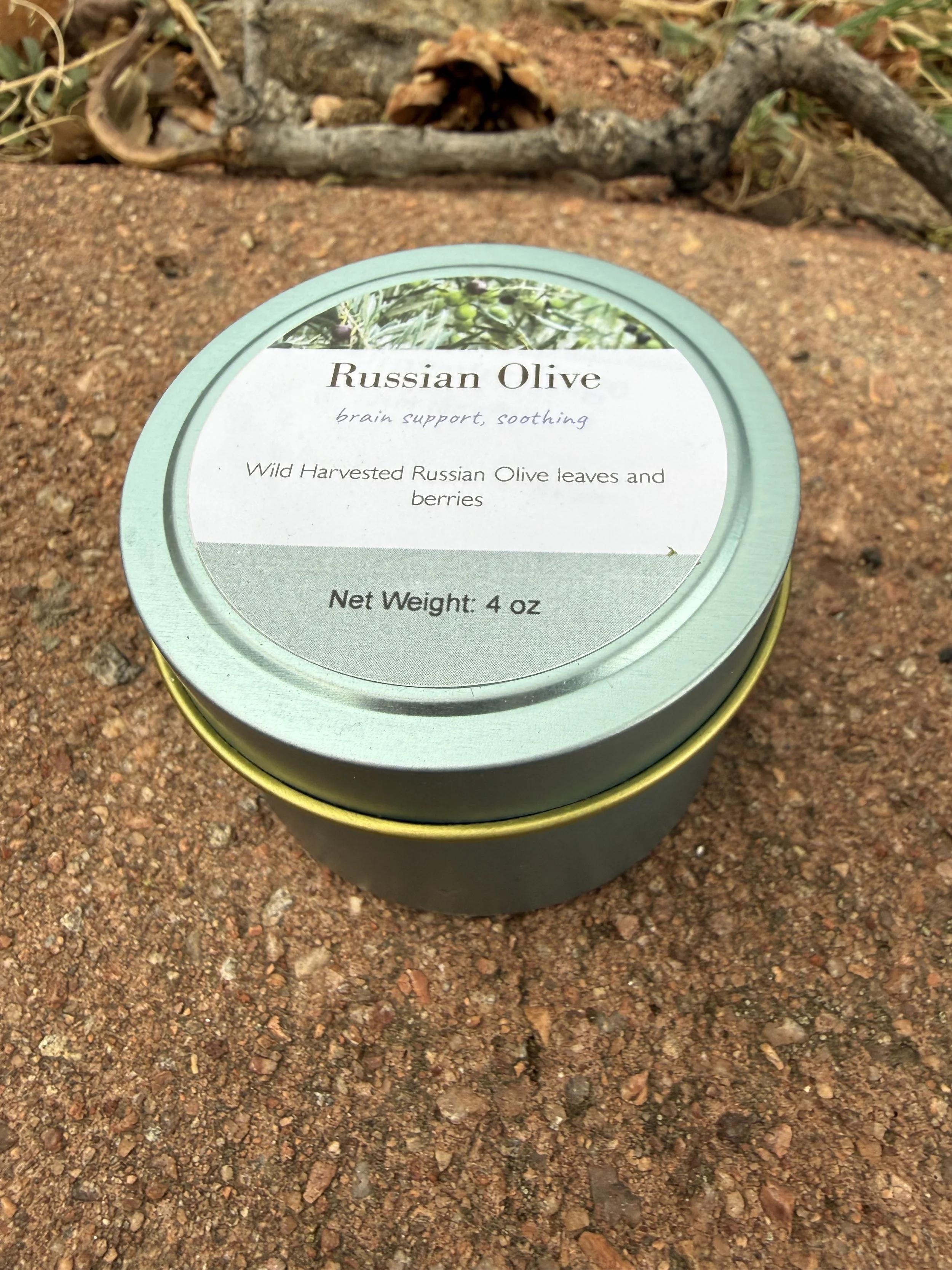 Russian Olive Tea
