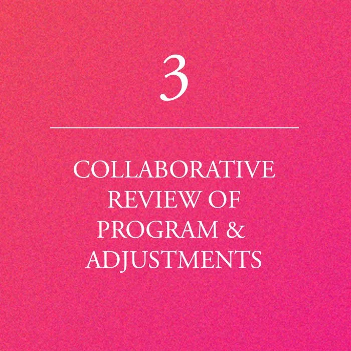 Step 3 - Collaborative review of program & adjustments