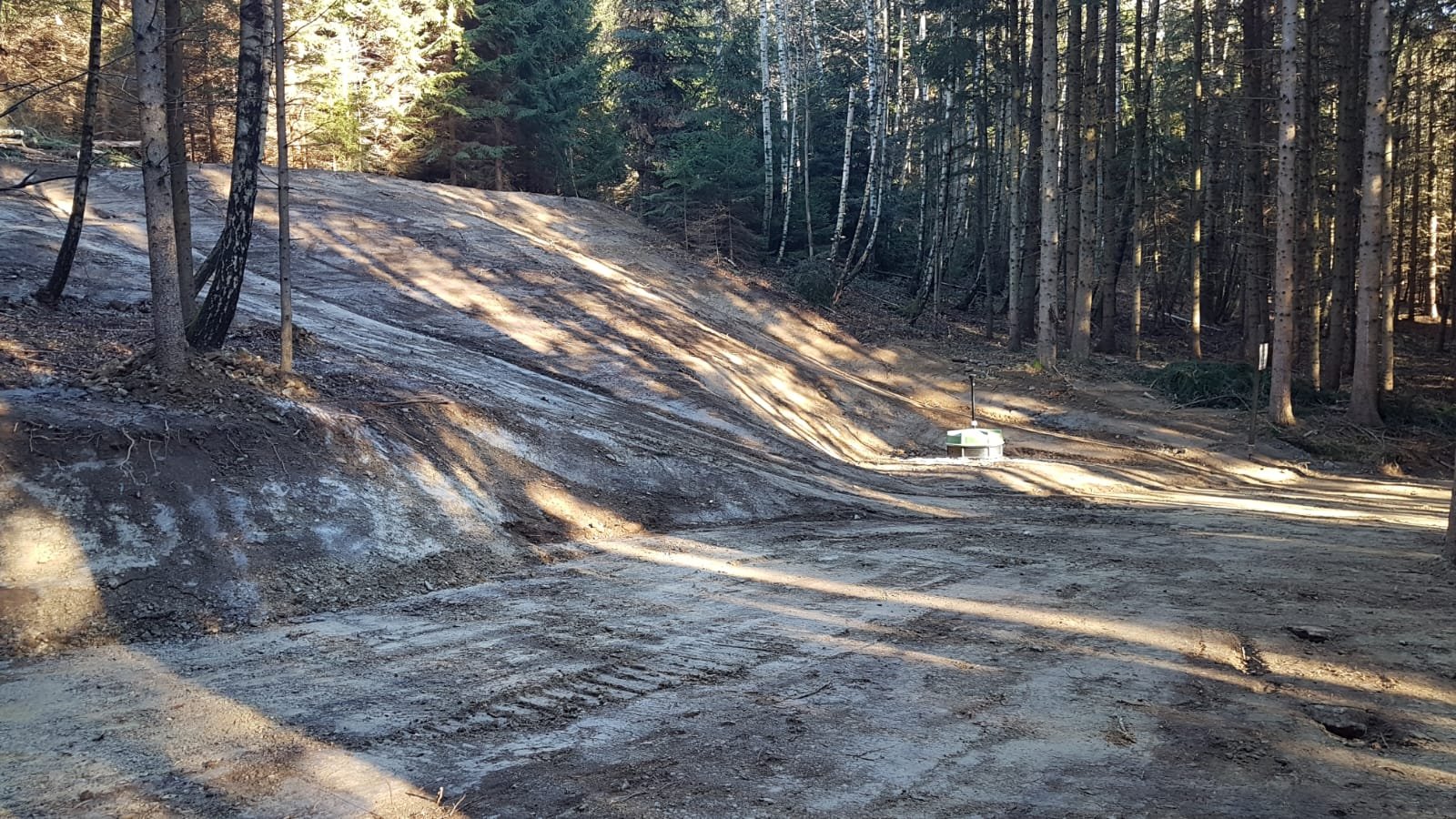 Unebenes Gelände in einem Wald