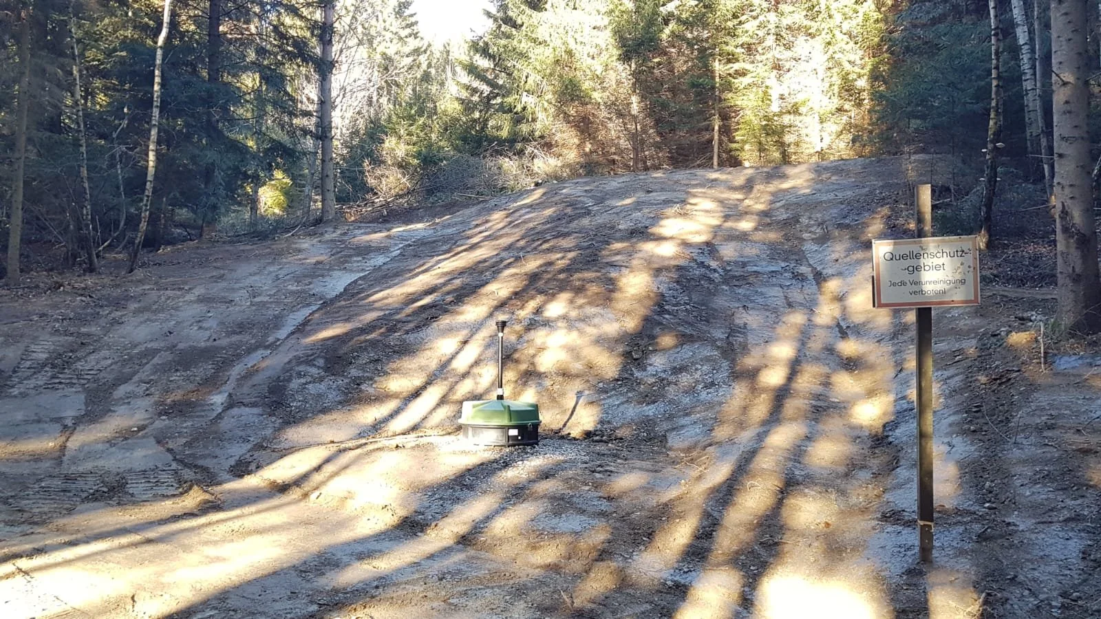 Unebenes Gelände in einem Wald