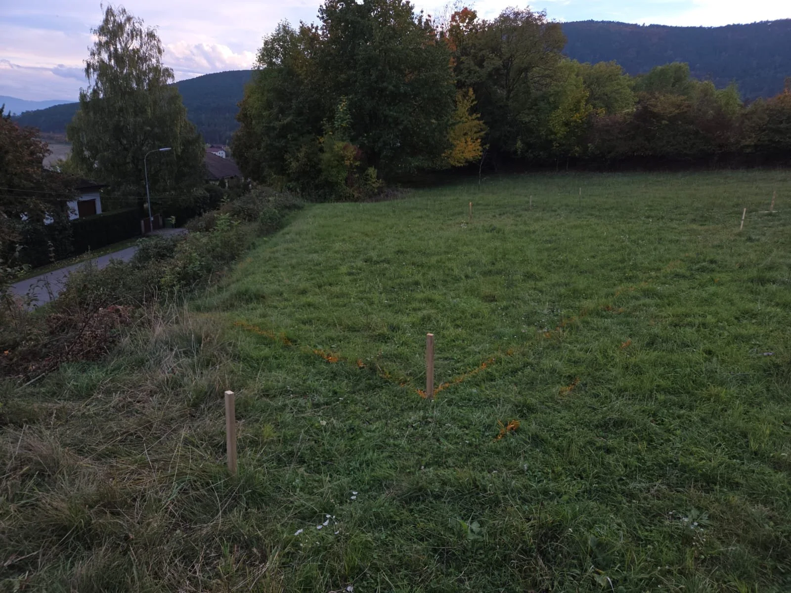 Ein offenes, grasbewachsenes Grundstück.