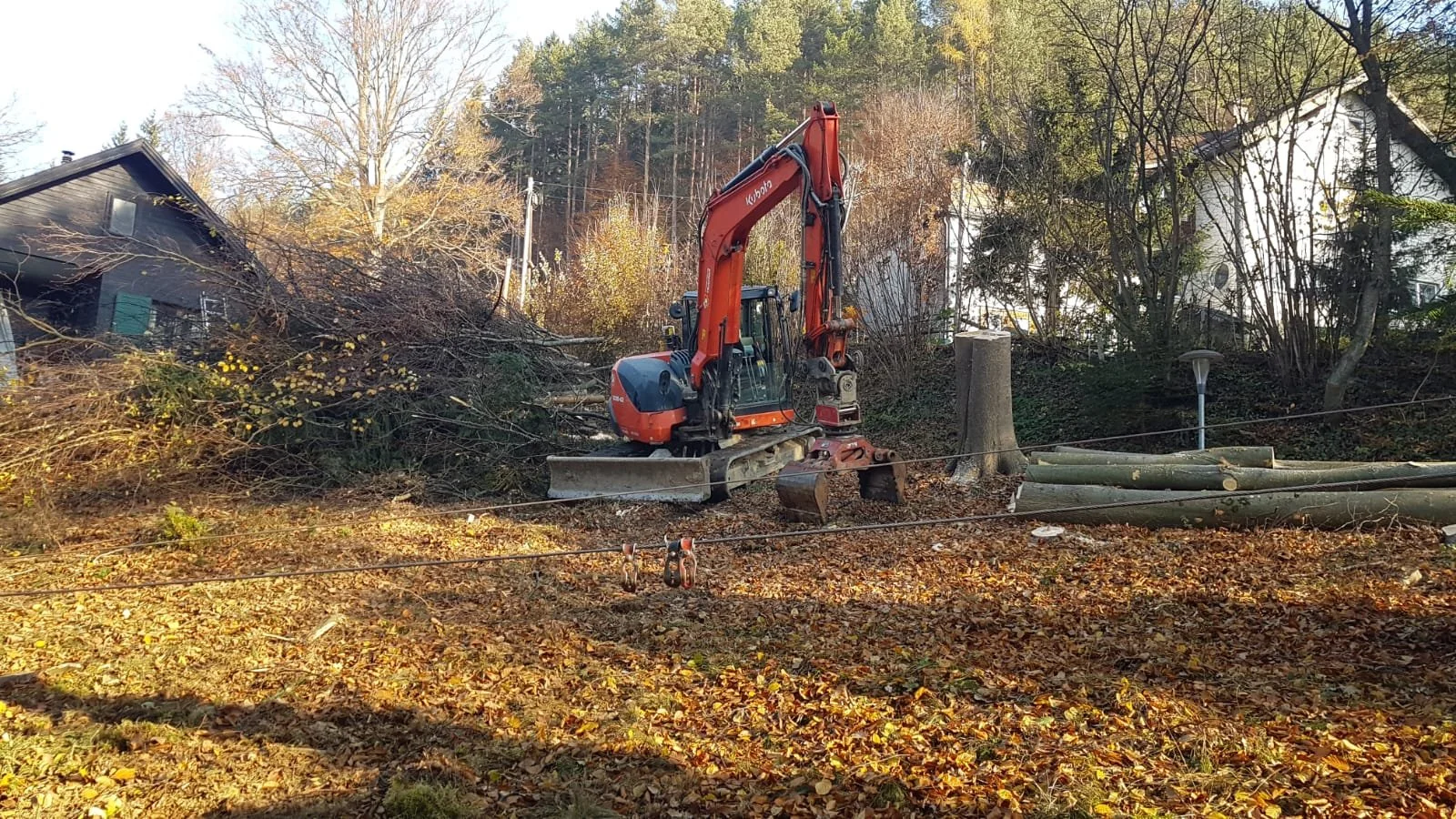 Ein Bagger auf einem Grundstück im Herbst, umgeben von Bäumen.
