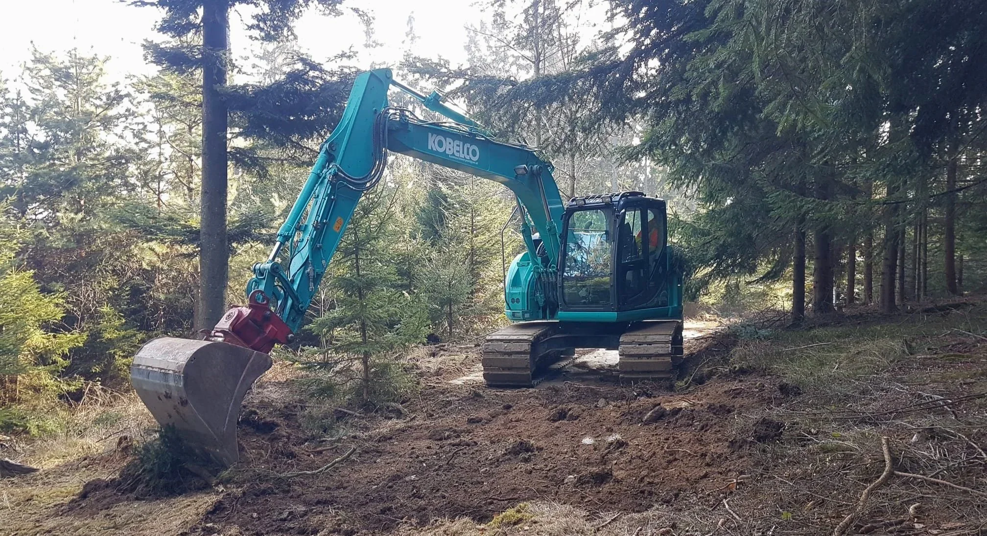Ein Bagger arbeitet in einem Wald.