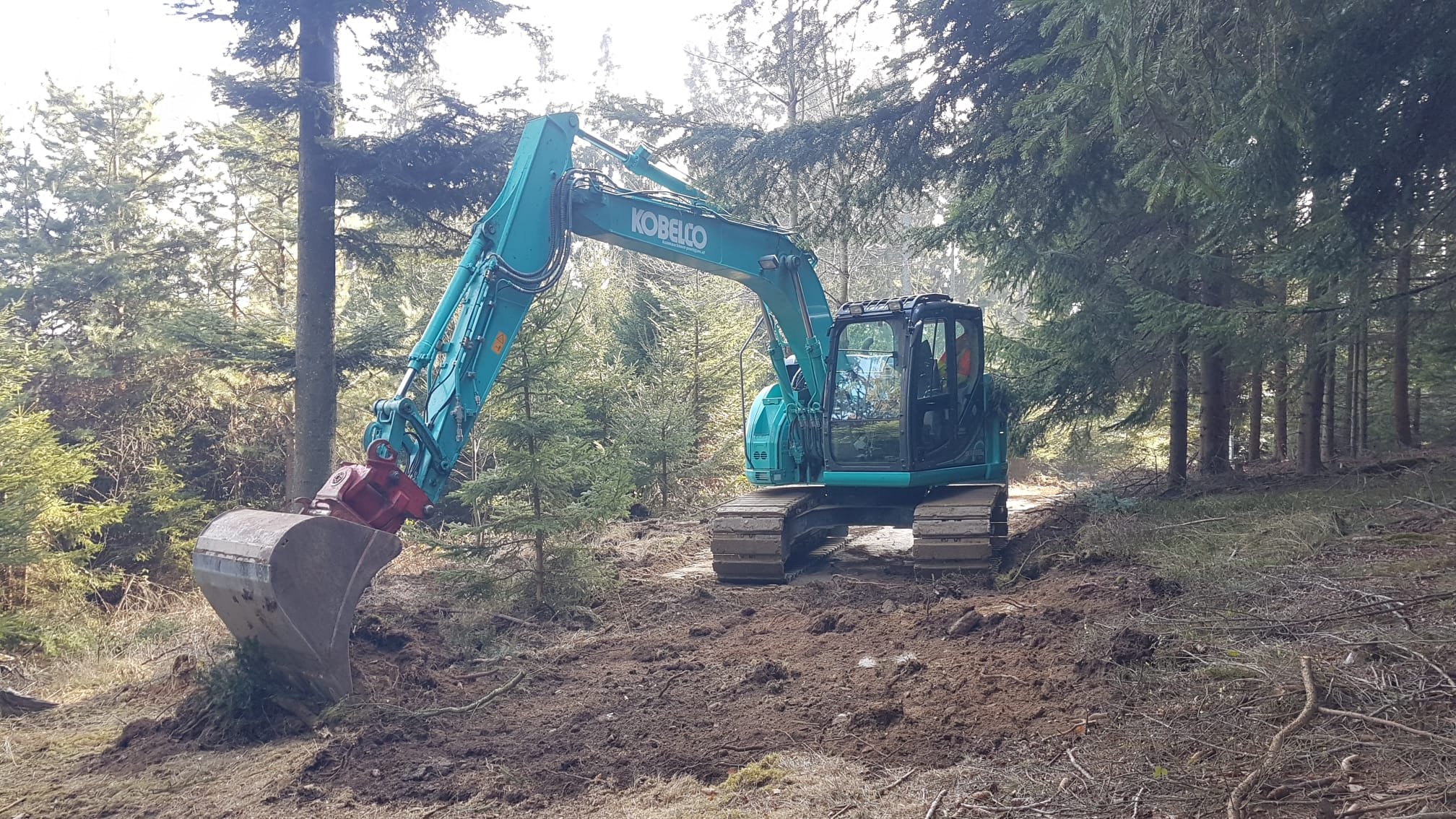 Ein KOBELCO Bagger arbeitet in einem Wald.