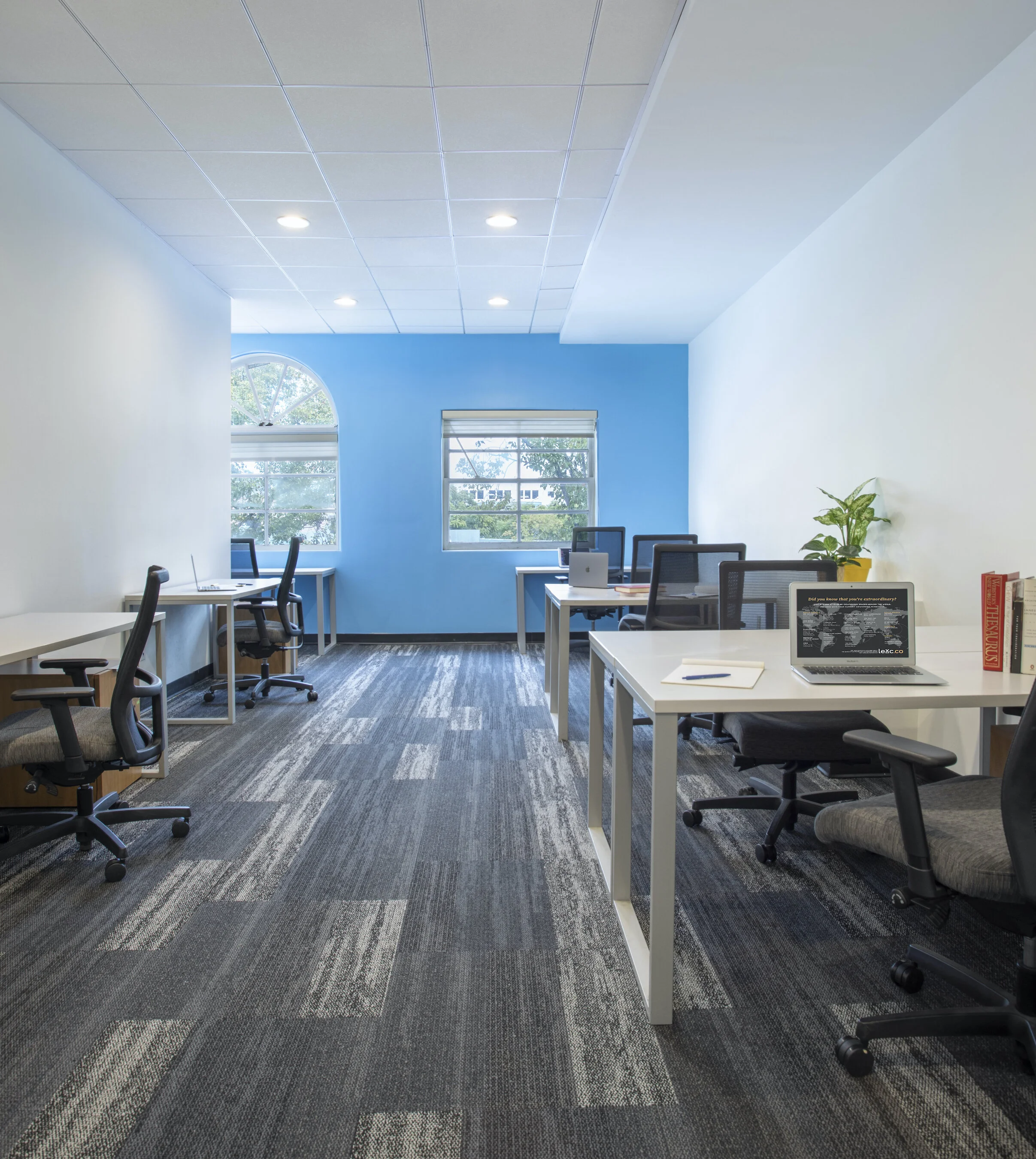 Large Team Office for up to 13