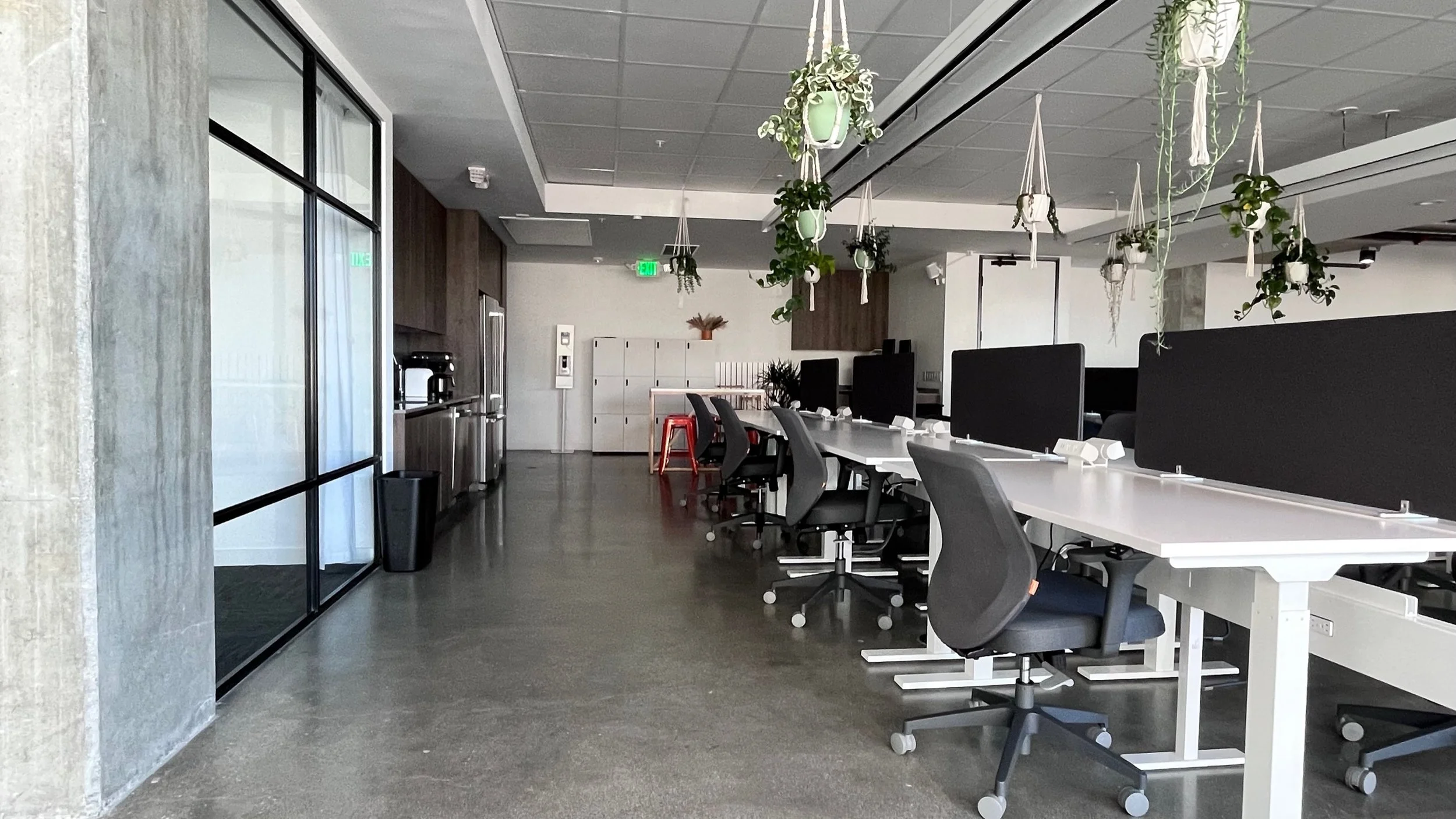 Modern office with workstations separated by black privacy screens, hanging plants above, some lockers and a kitchenette on the left, and windows with glass doors.