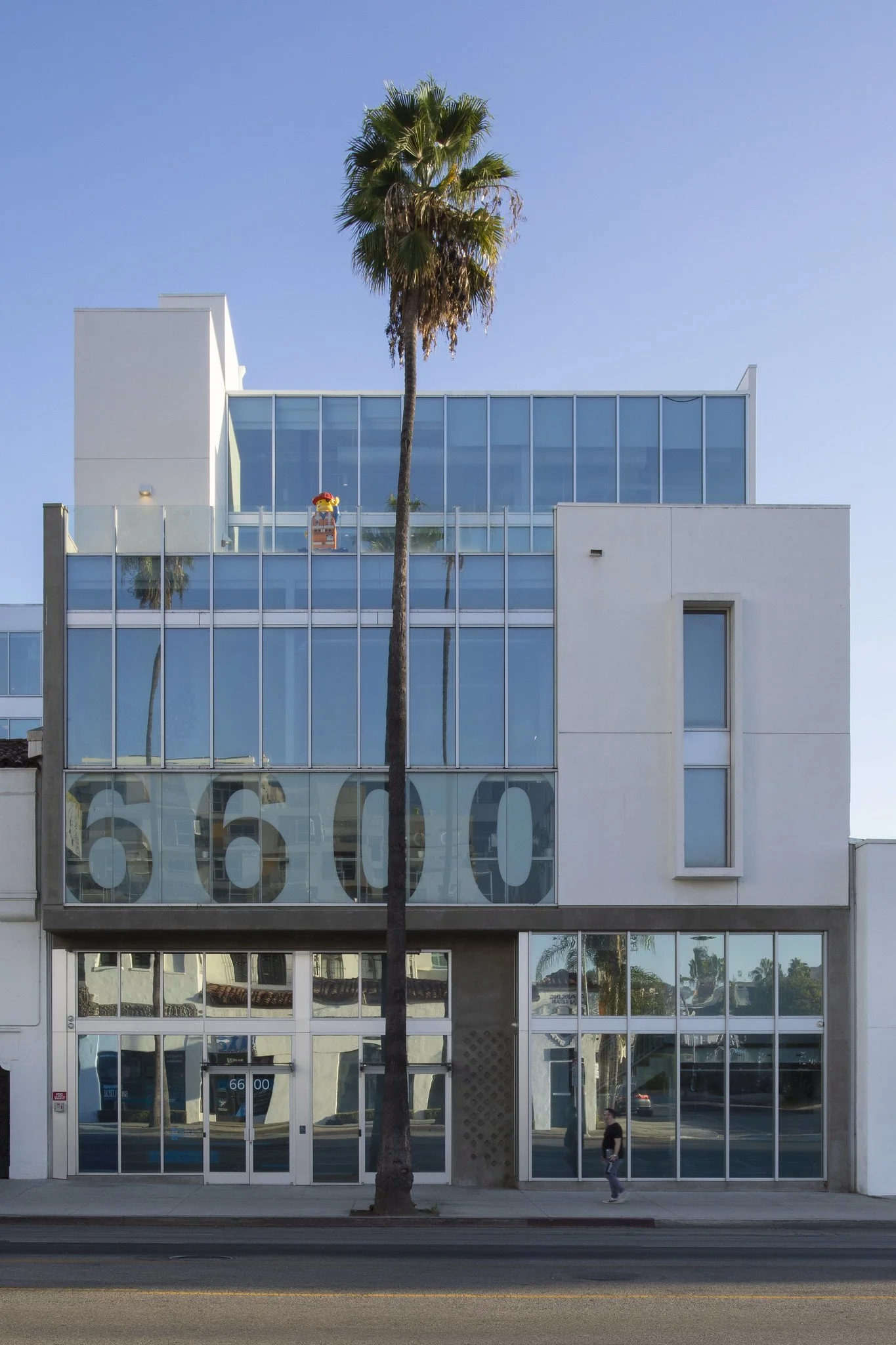 Modern multi-story building with large glass windows and a tall palm tree in front, reflecting the street scene.