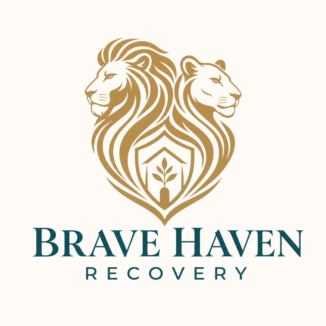 Brave Haven Recovery