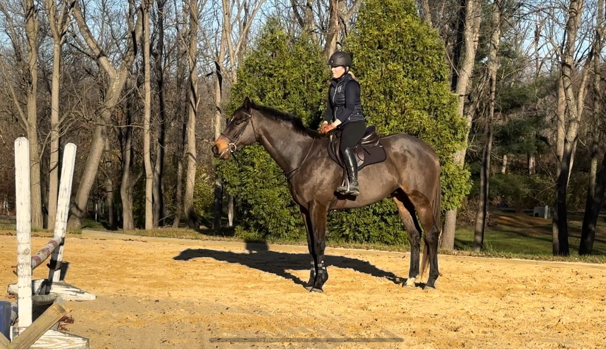 A person wearing a black helmet, black riding jacket, and riding pants on a brown horse with a black mane, standing on a sandy riding arena with trees and bushes in the background.