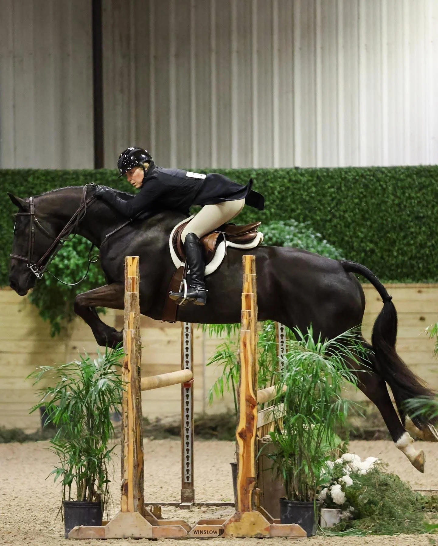 An equestrian athlete in riding gear on a dark horse mid-jump over obstacles in an indoor arena.