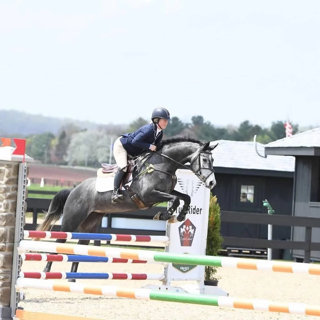 A person riding a gray horse clearing a jump at a horse show.