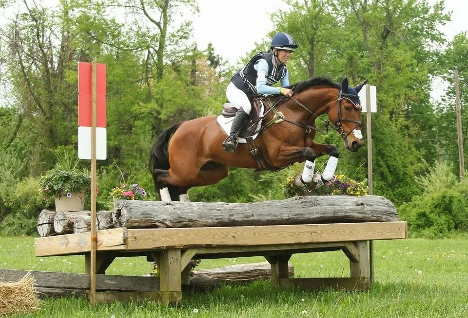 A rider in a helmet and riding gear on a jumping horse clearing an obstacle during an equestrian event in a grassy field with green trees in the background.