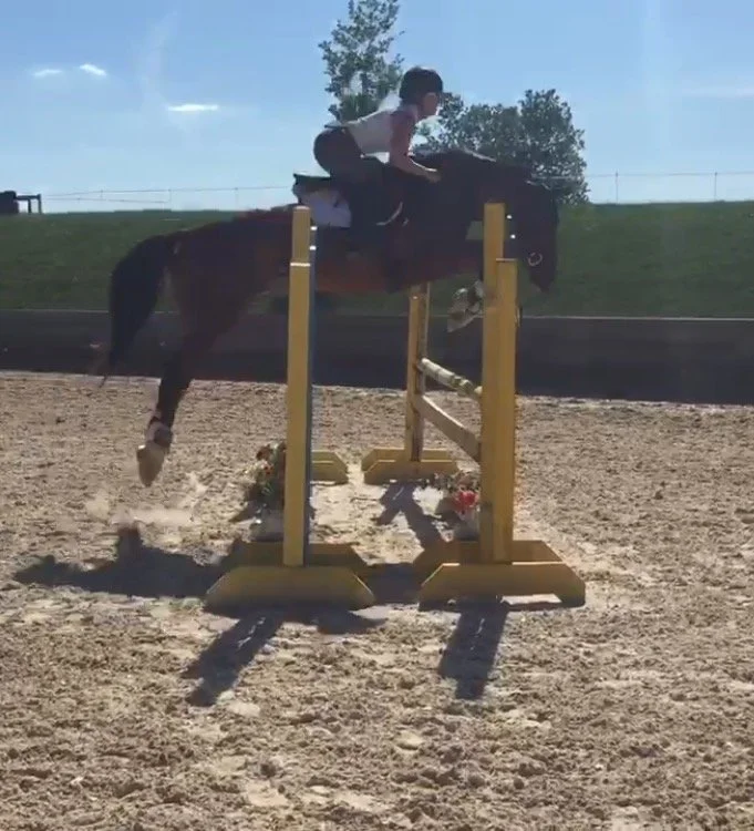 A person riding a horse jumping over an obstacle in an equestrian event outdoors.