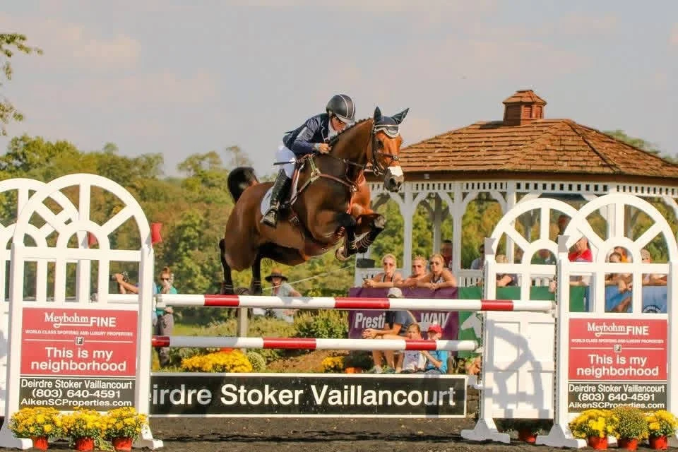 Horse and rider jumping over a red, white, and green obstacle during an equestrian show, with spectators watching in the background.