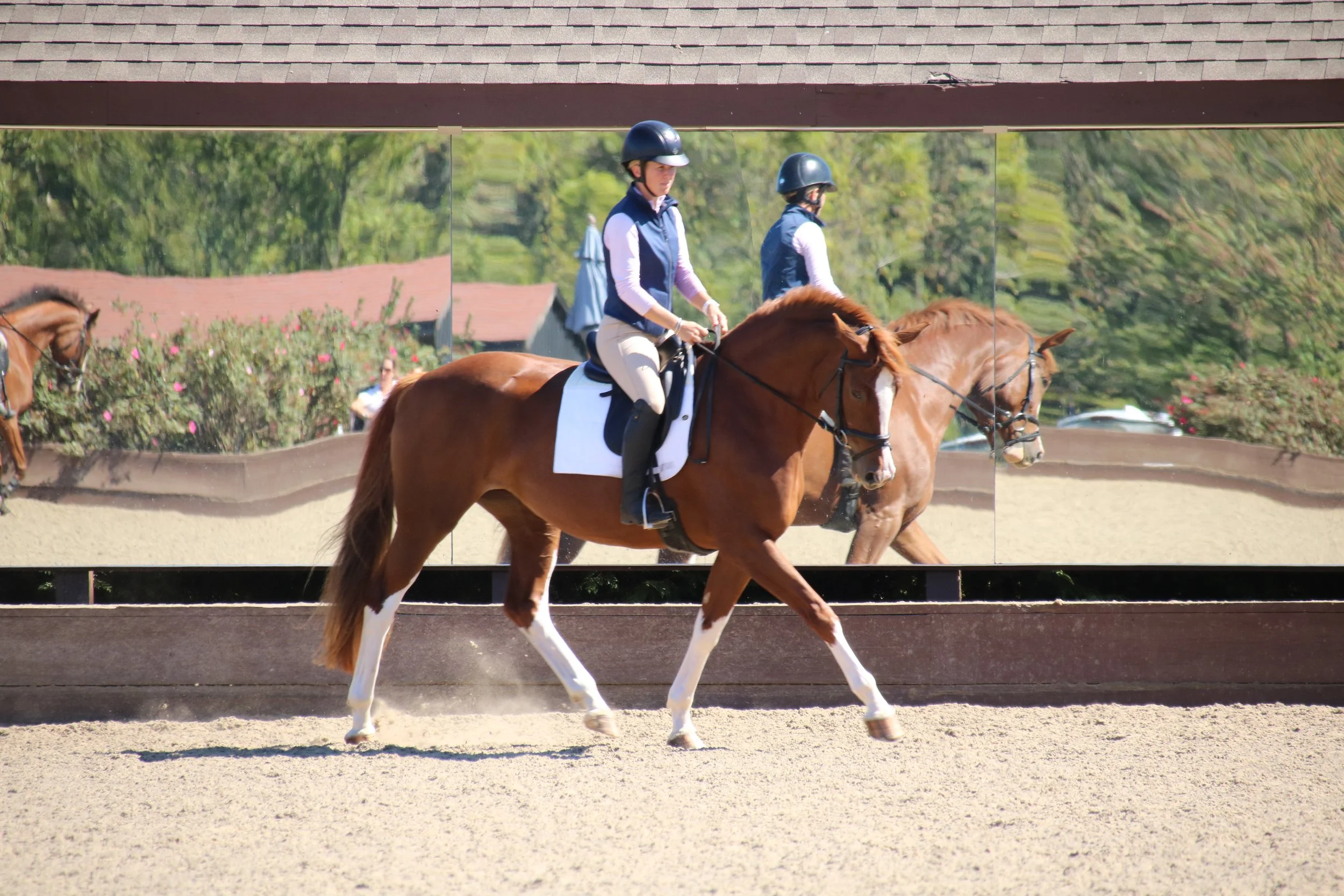 Two women wearing riding helmets and vests riding horses on a sandy arena with a reflective wall showing trees and sky.