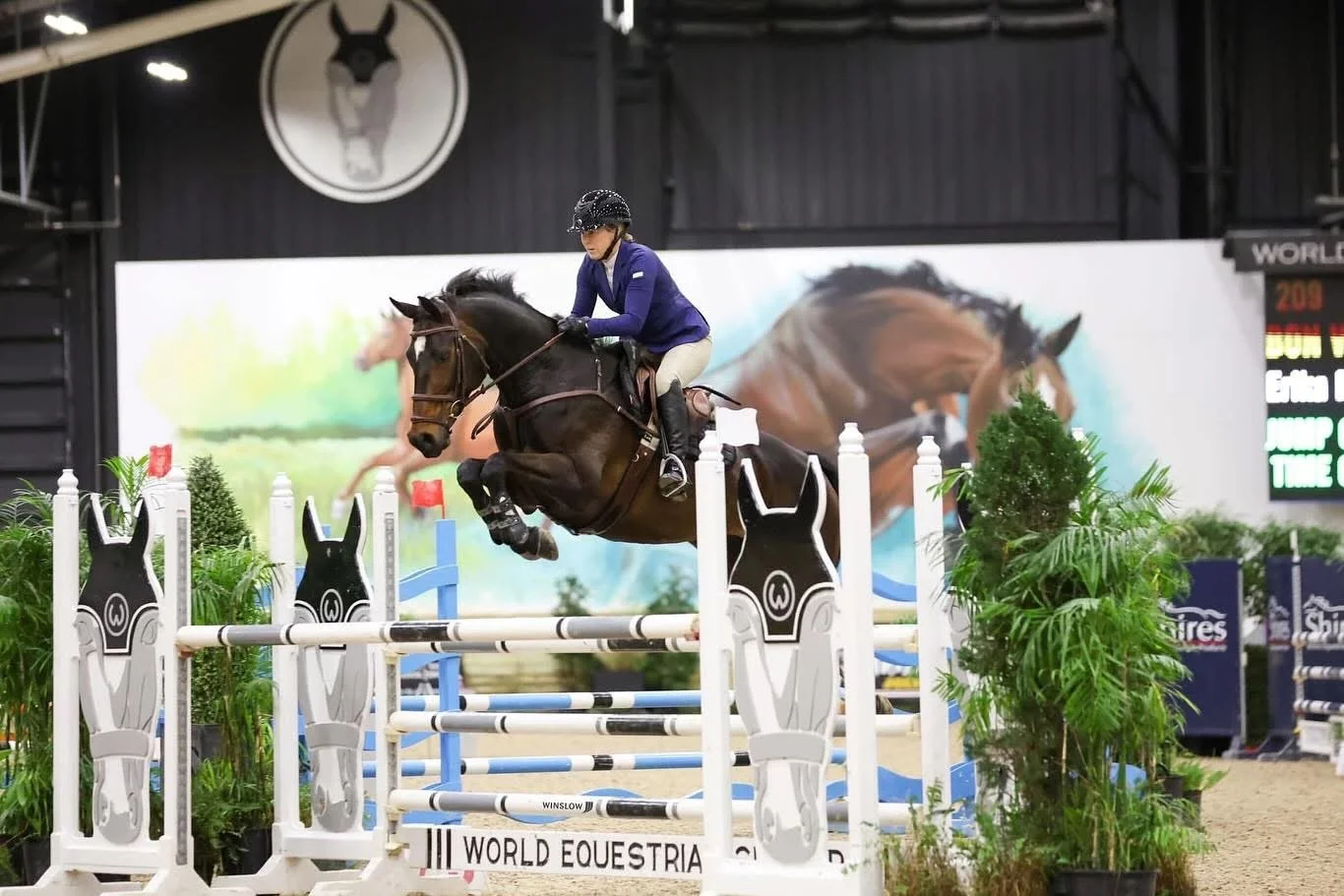 Equestrian rider in a blue jacket and beige pants jumps a horse over an obstacle at an indoor show jumping event, with lush green plants decorating the course.
