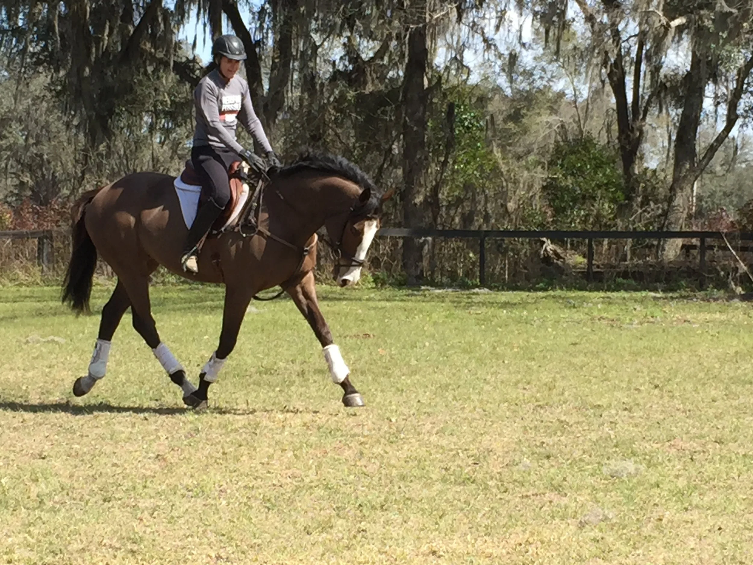 A person riding a brown horse with white markings in a grassy outdoor area, wearing a helmet and riding gear, with trees in the background.
