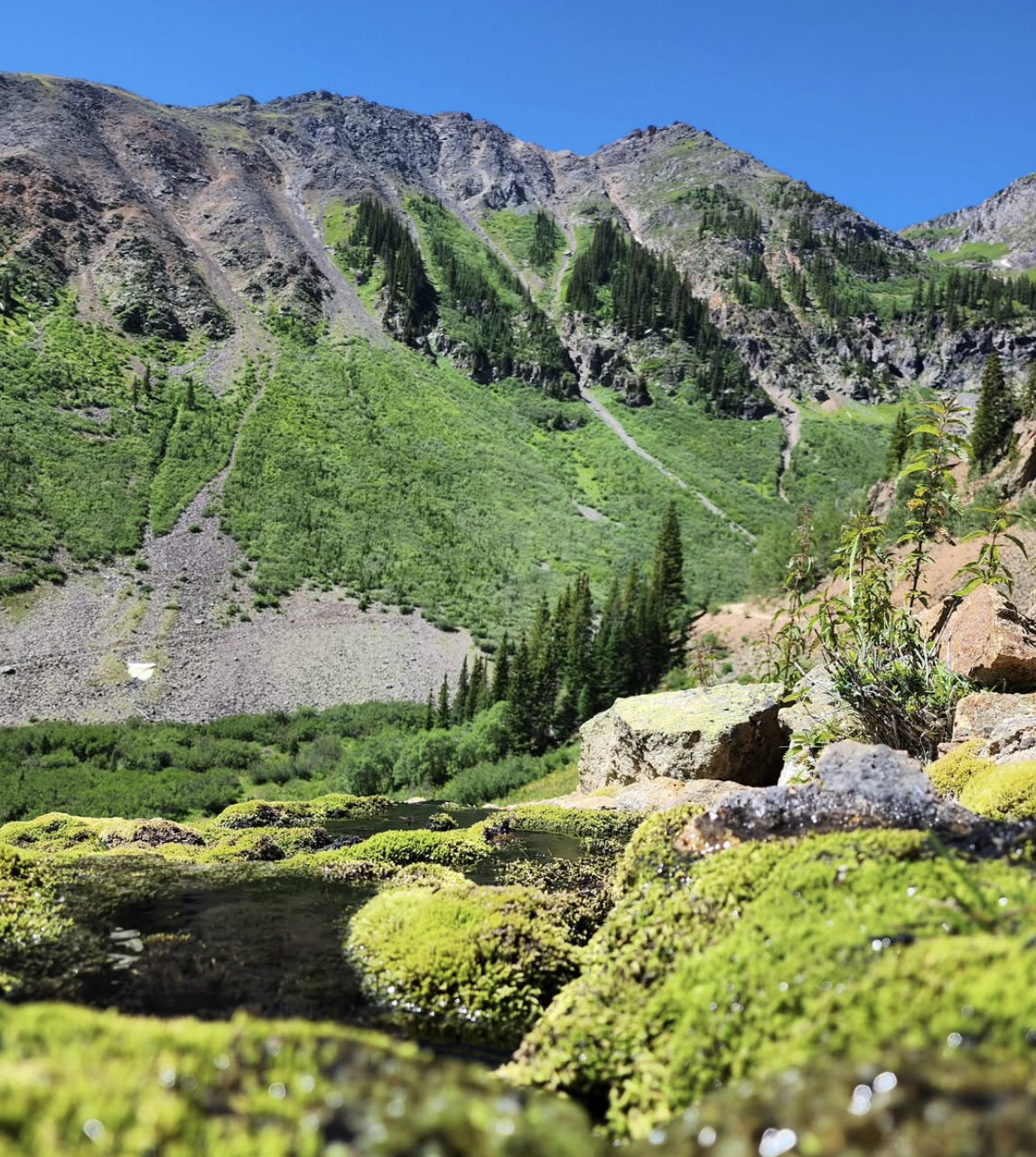 Screen Shot 2025-12-20 at 1.55.06 PM.png