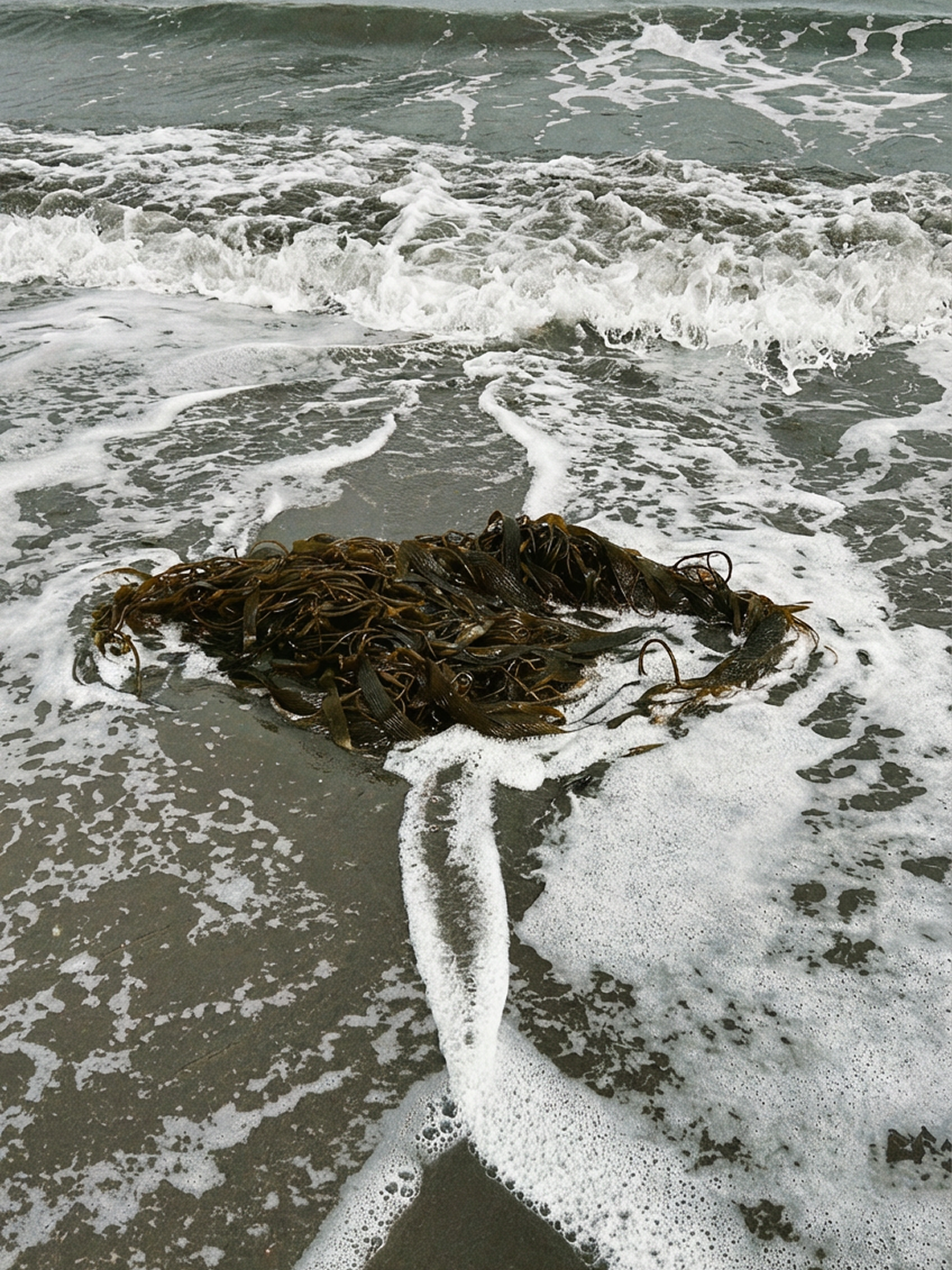 IMG_0273.png