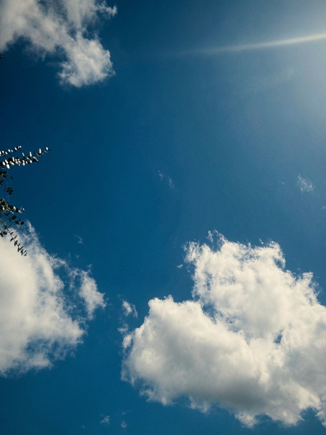 IMG_9220.png