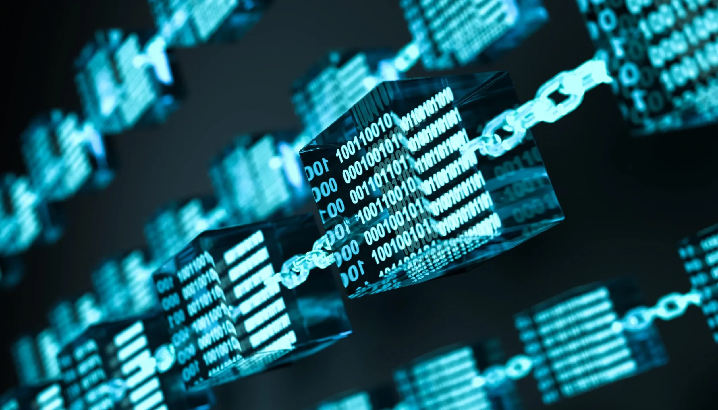 Crypto Payment Integration