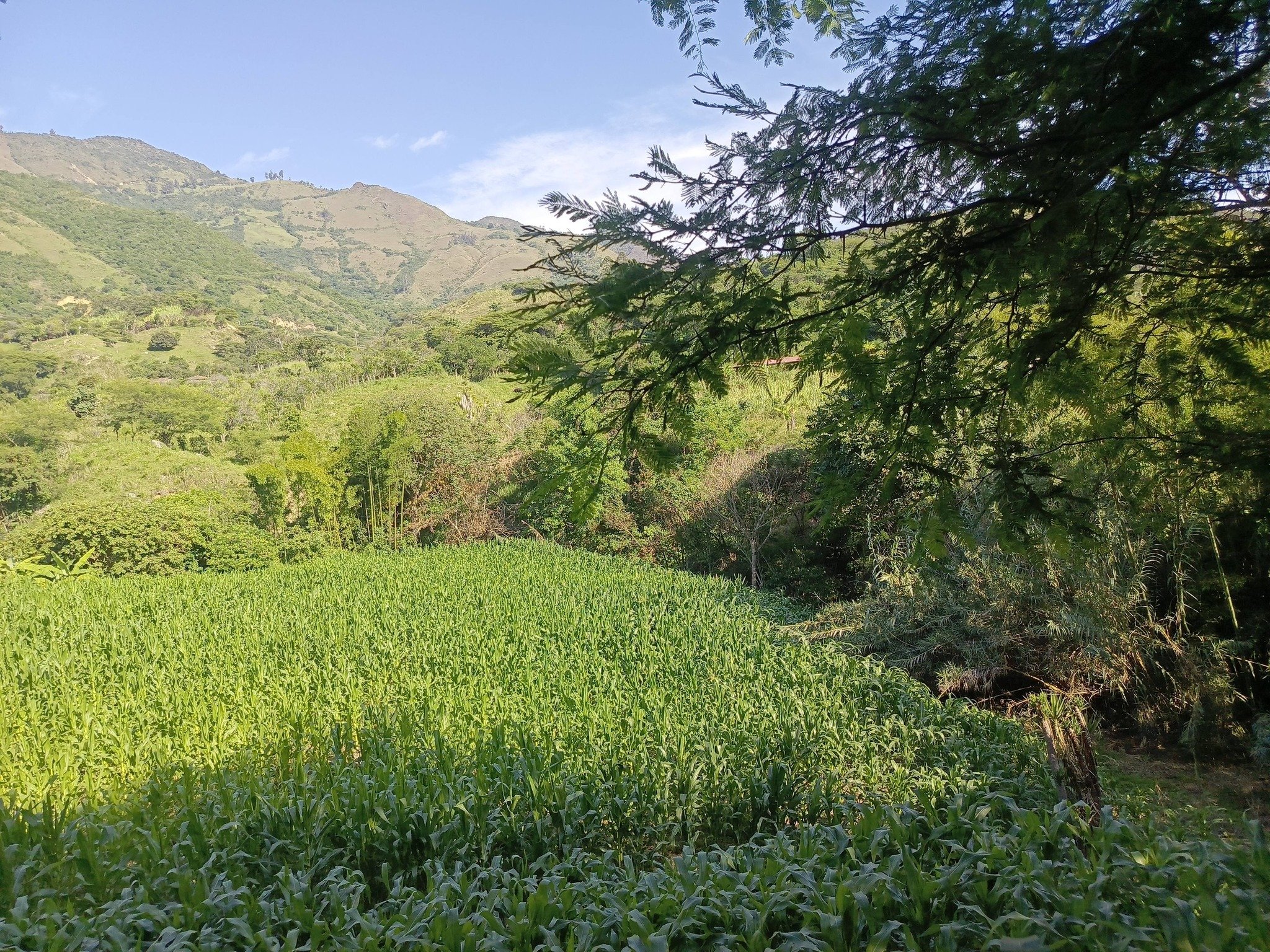 FINCA EN CATAMAYO-EL TAMBO-BARRIO SAN BERNABE -- publicado: 29 DIC 2025