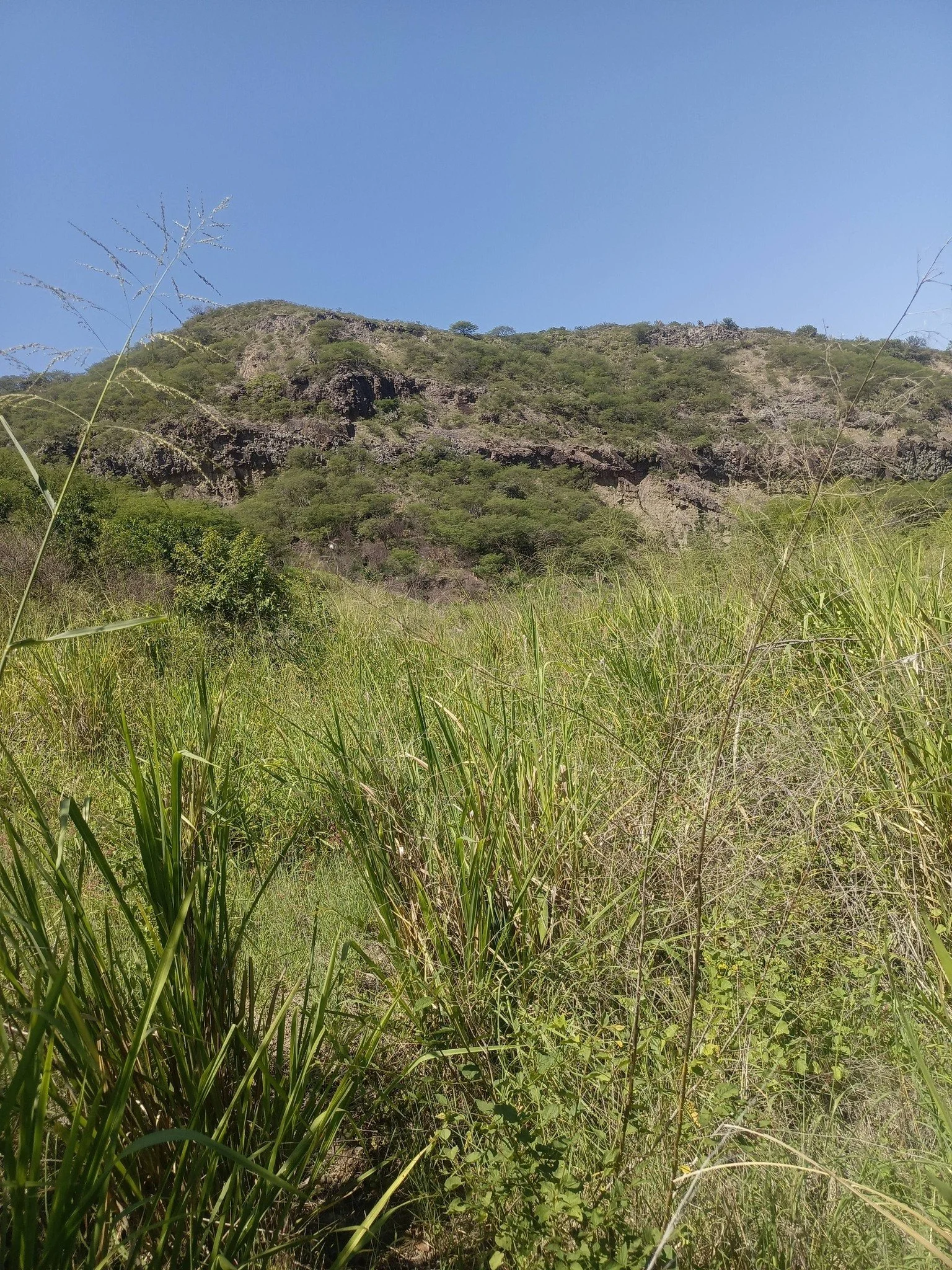 SE VENDE TERRENO BARRIO SAN MIGUEL-EL TAMBO-CATAMAYO