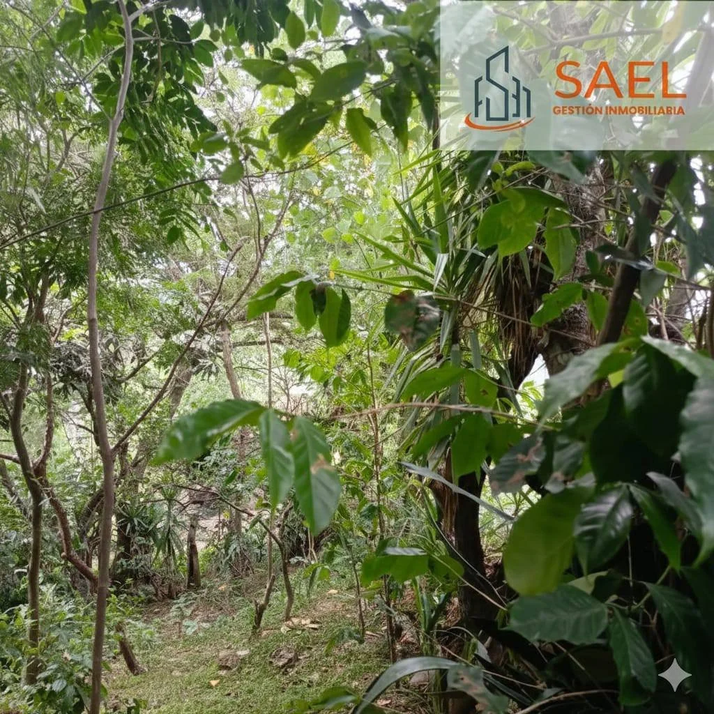 TERRENO EN VENTA  A DOS CUADRAS DEL PARQUE CENTRAL, EL TAMBO/CATAMAYO