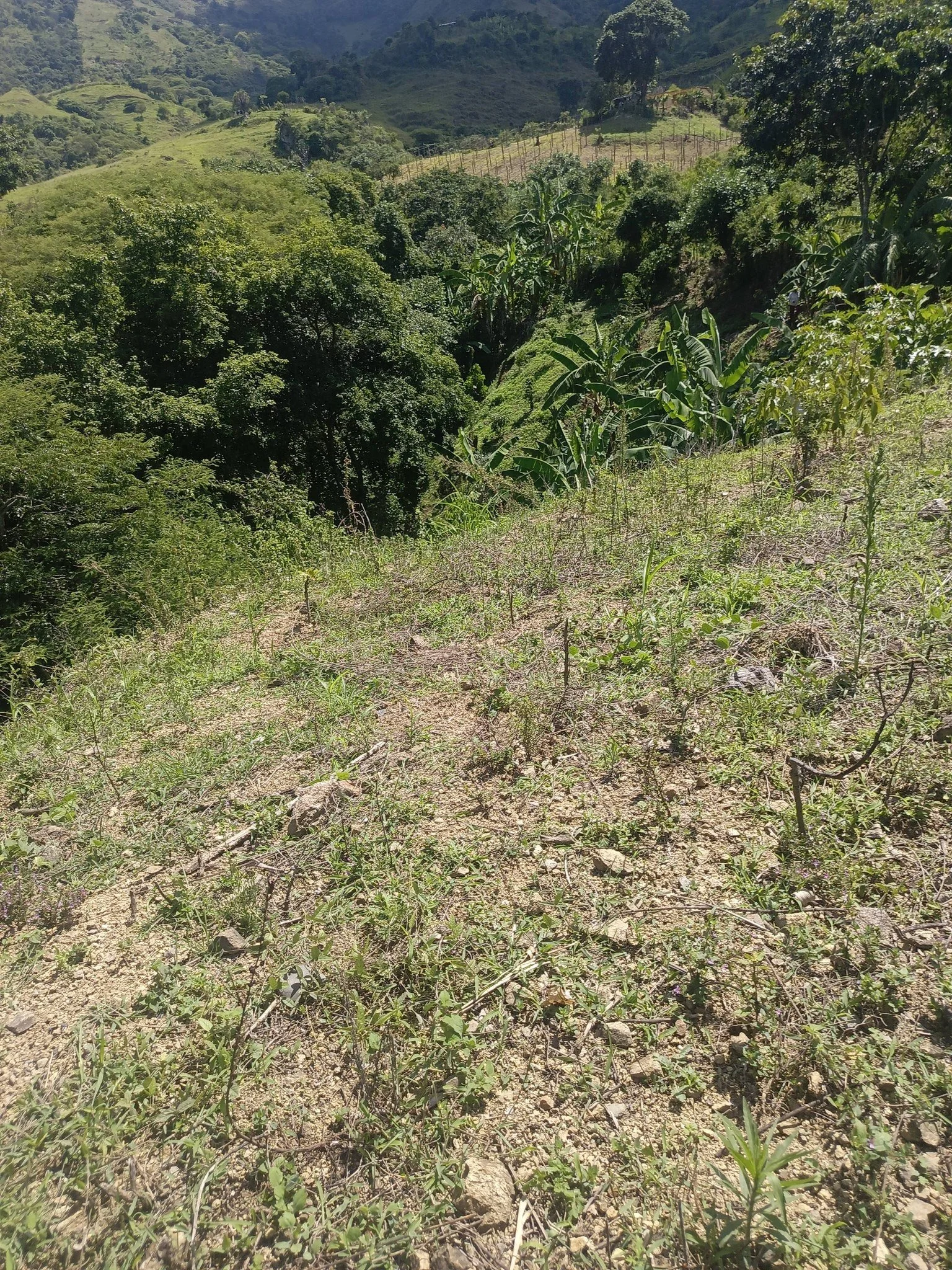 VENTA DE TERRENO EN EL SECTOR EL TAMBO (LA CAPILLA) - CATMAYO