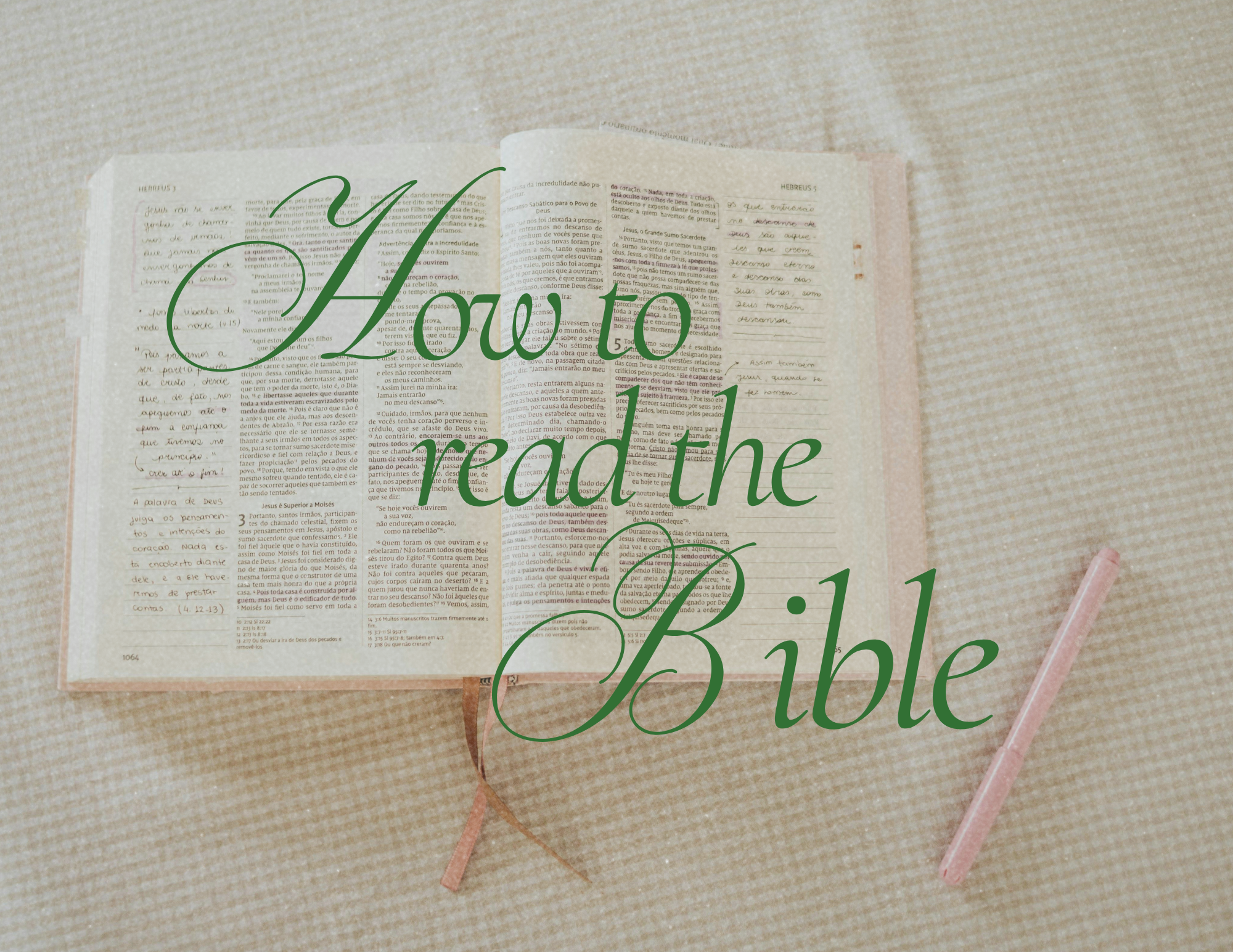 How to Read the Bible