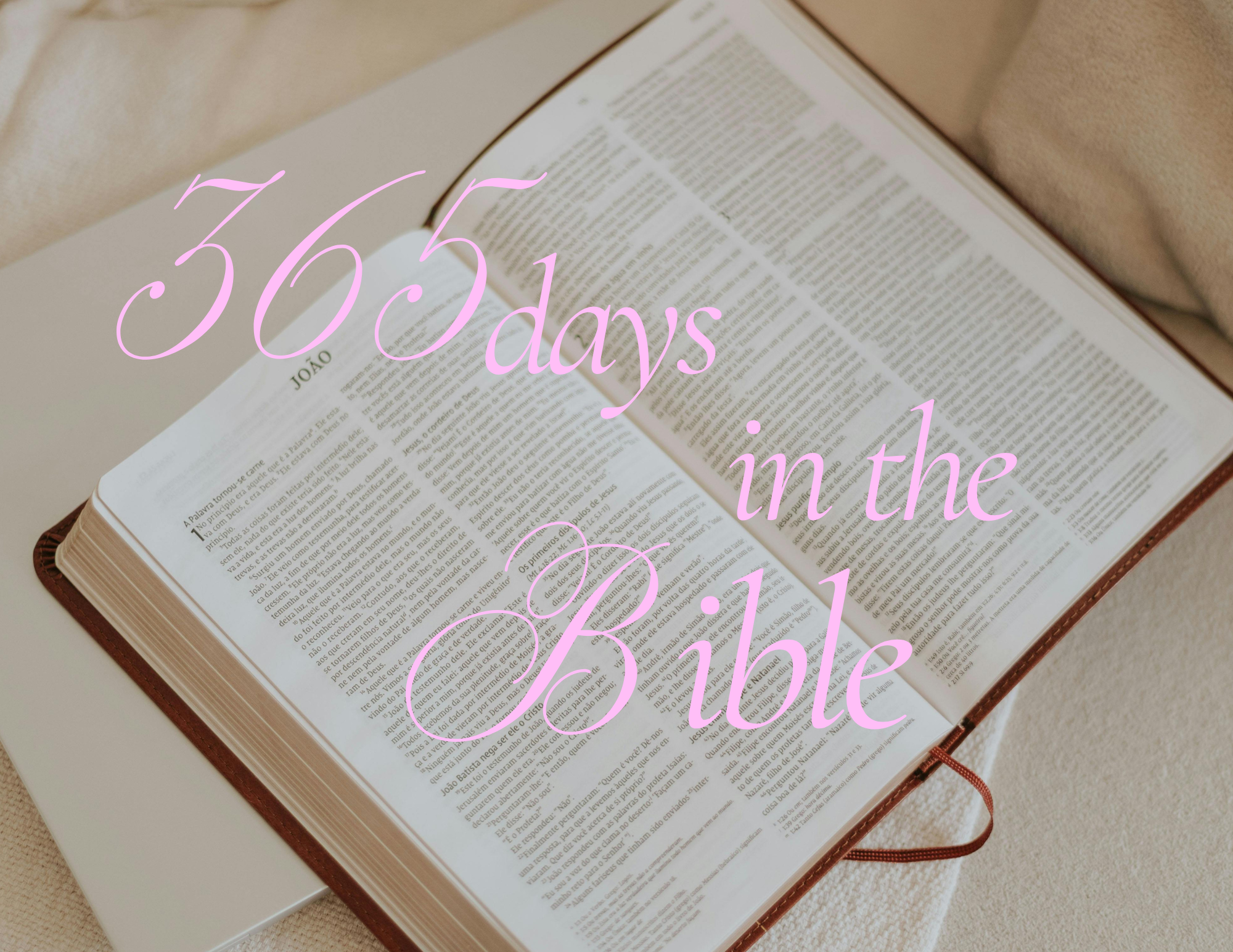 Starting With Jesus: A 365 day Bible Plan for New Believers