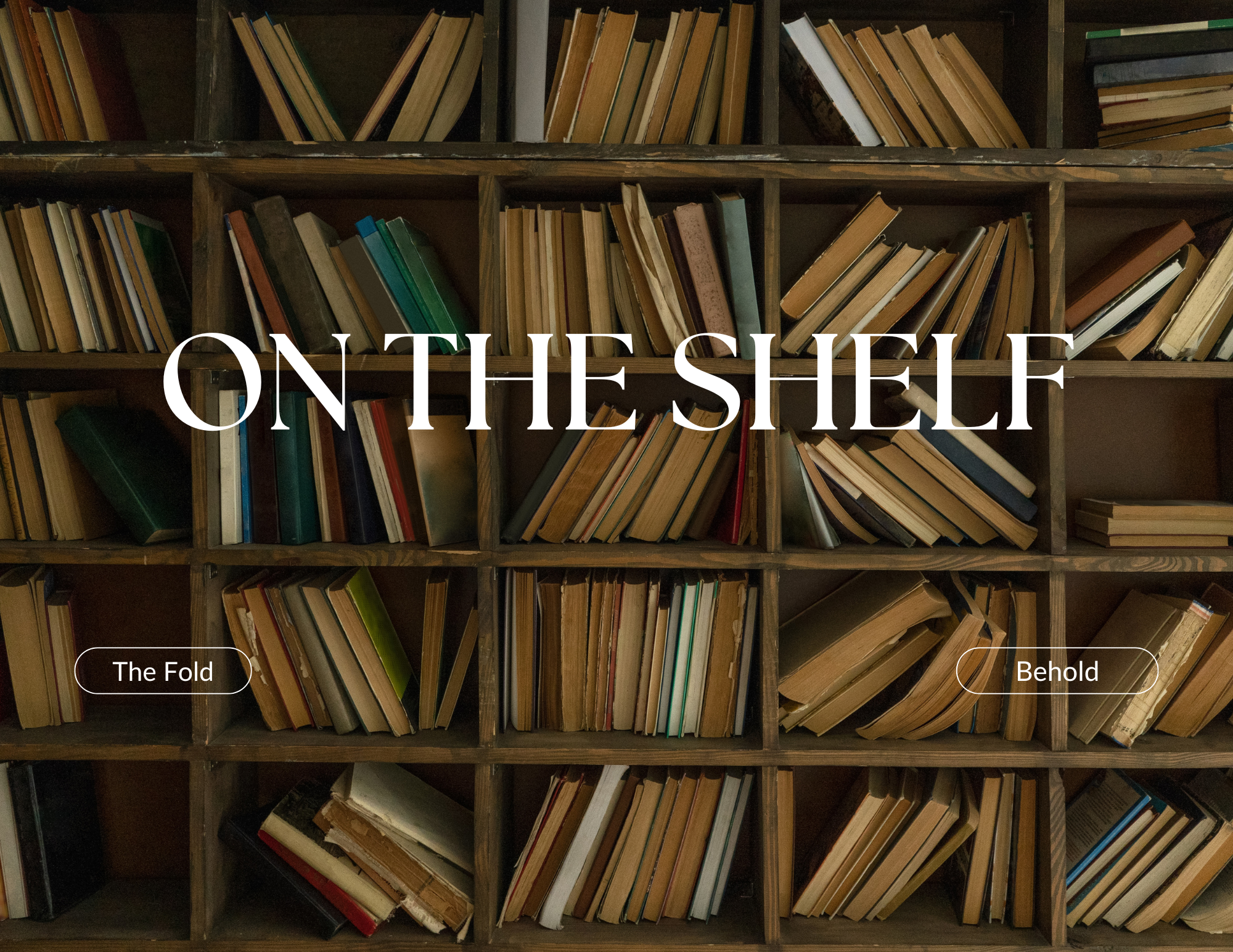 On The Shelf: Behold