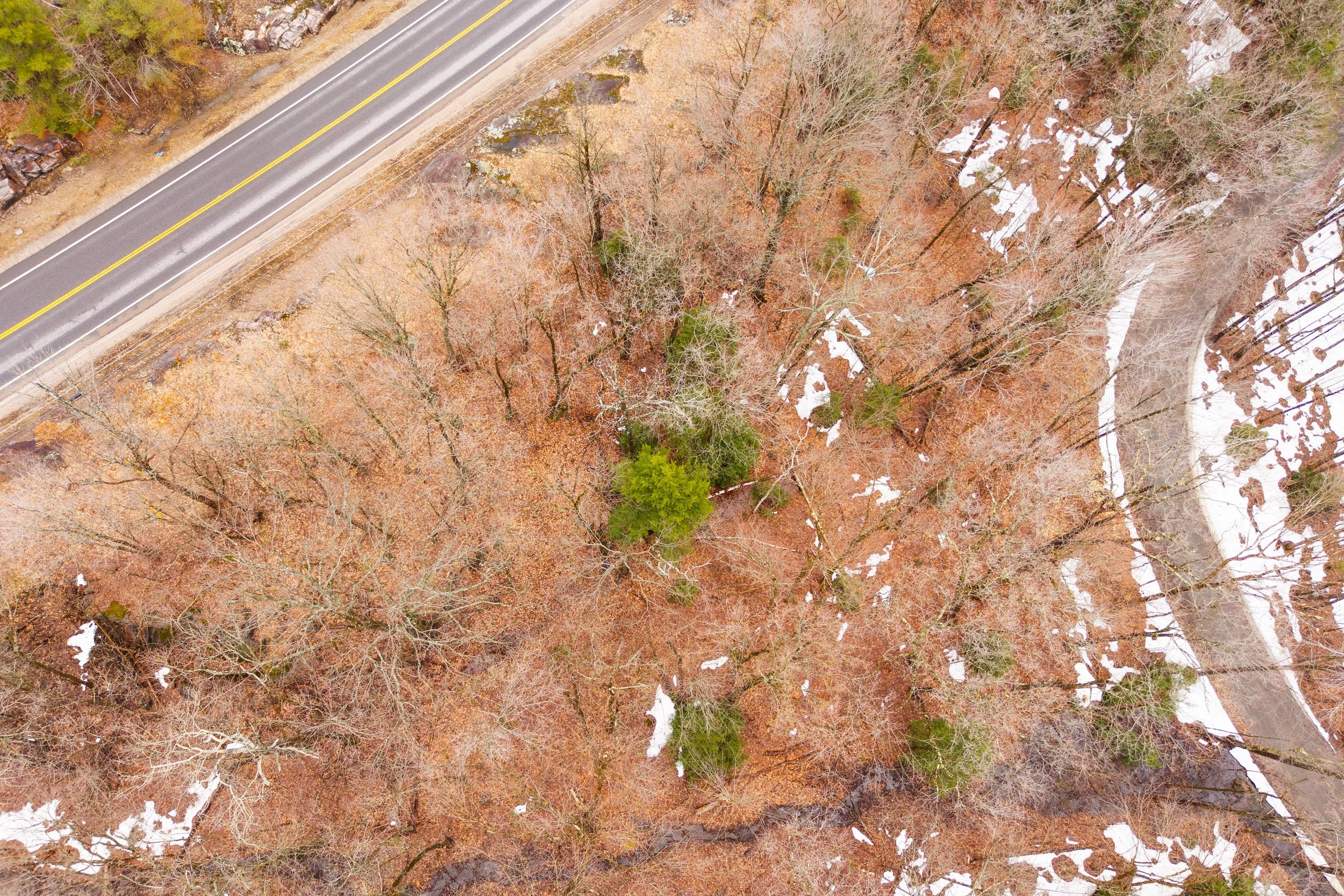 10-print-DJI_20260415053044_0339_D.jpg