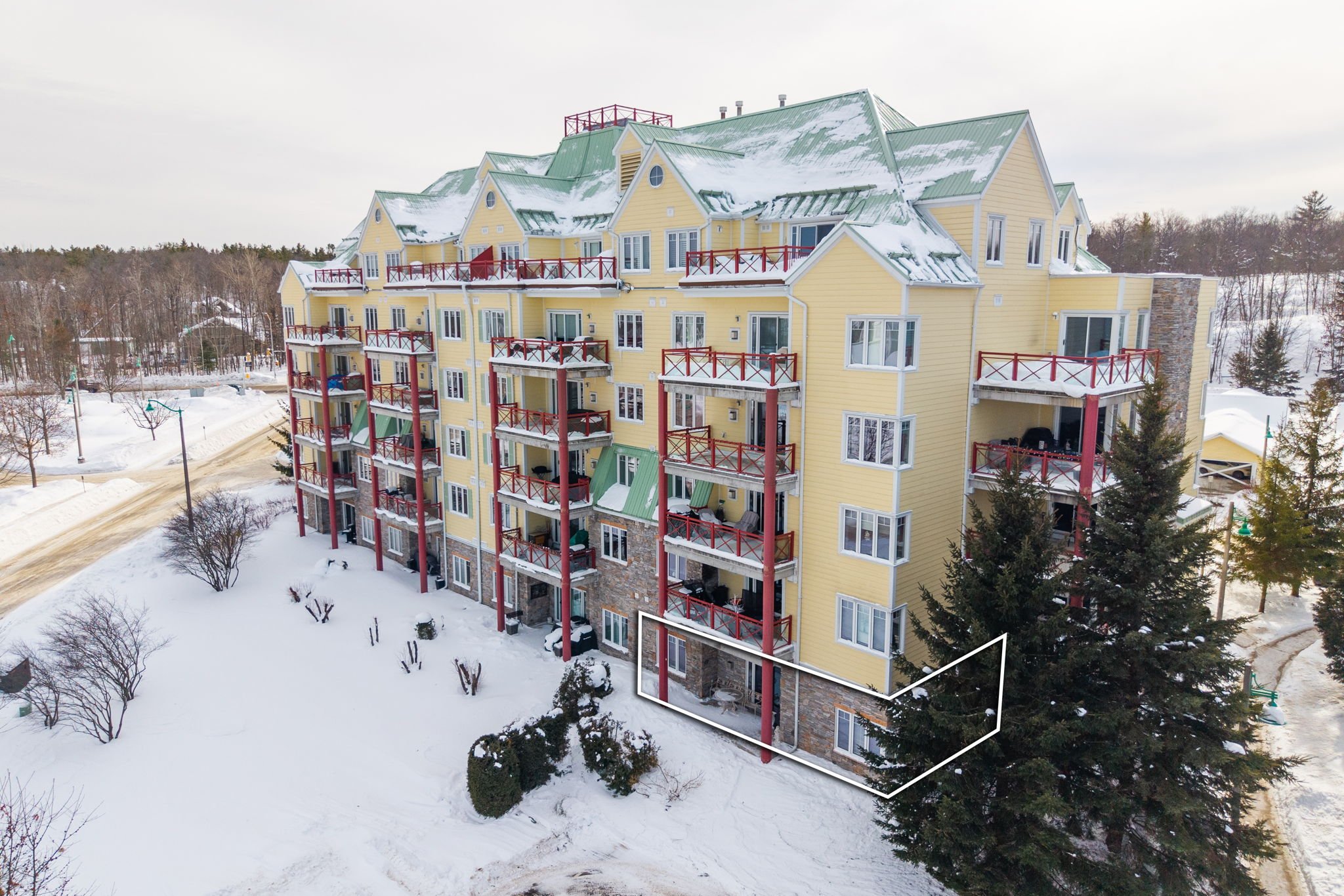 DJI_20260209143528_0267_D copy.jpg