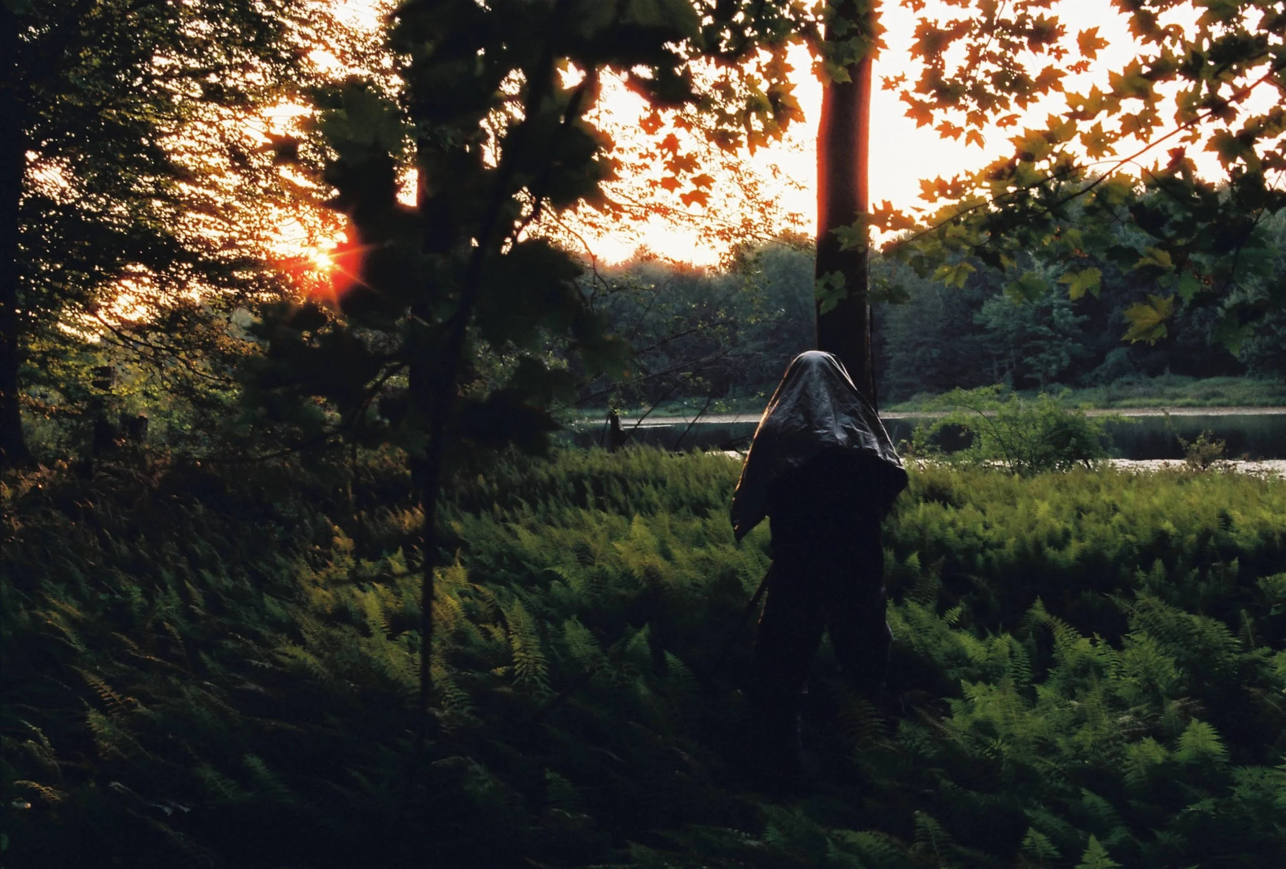Person wearing a raincoat walking through a lush forest during sunset or sunrise near a body of water.