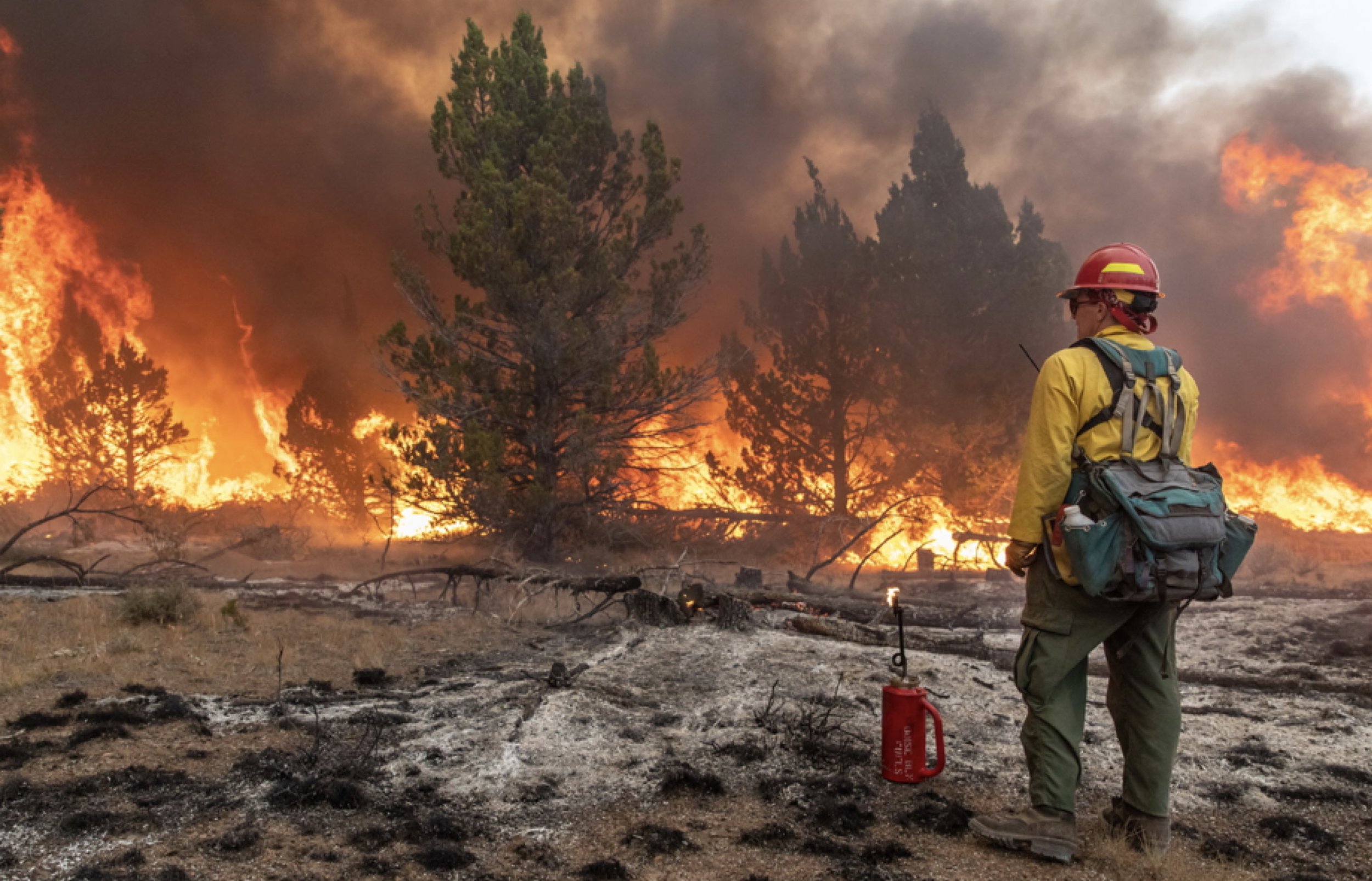 A firefighter in protective gear and a red helmet stands on burnt ground watching a large wildfire in a forest fire scene.