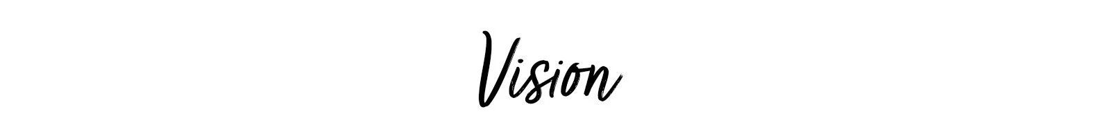 The word "Vision" written in black script font on a white background.