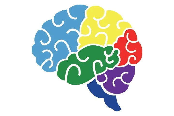 Colorful illustration of a human brain with sections in blue, yellow, red, green, and purple.