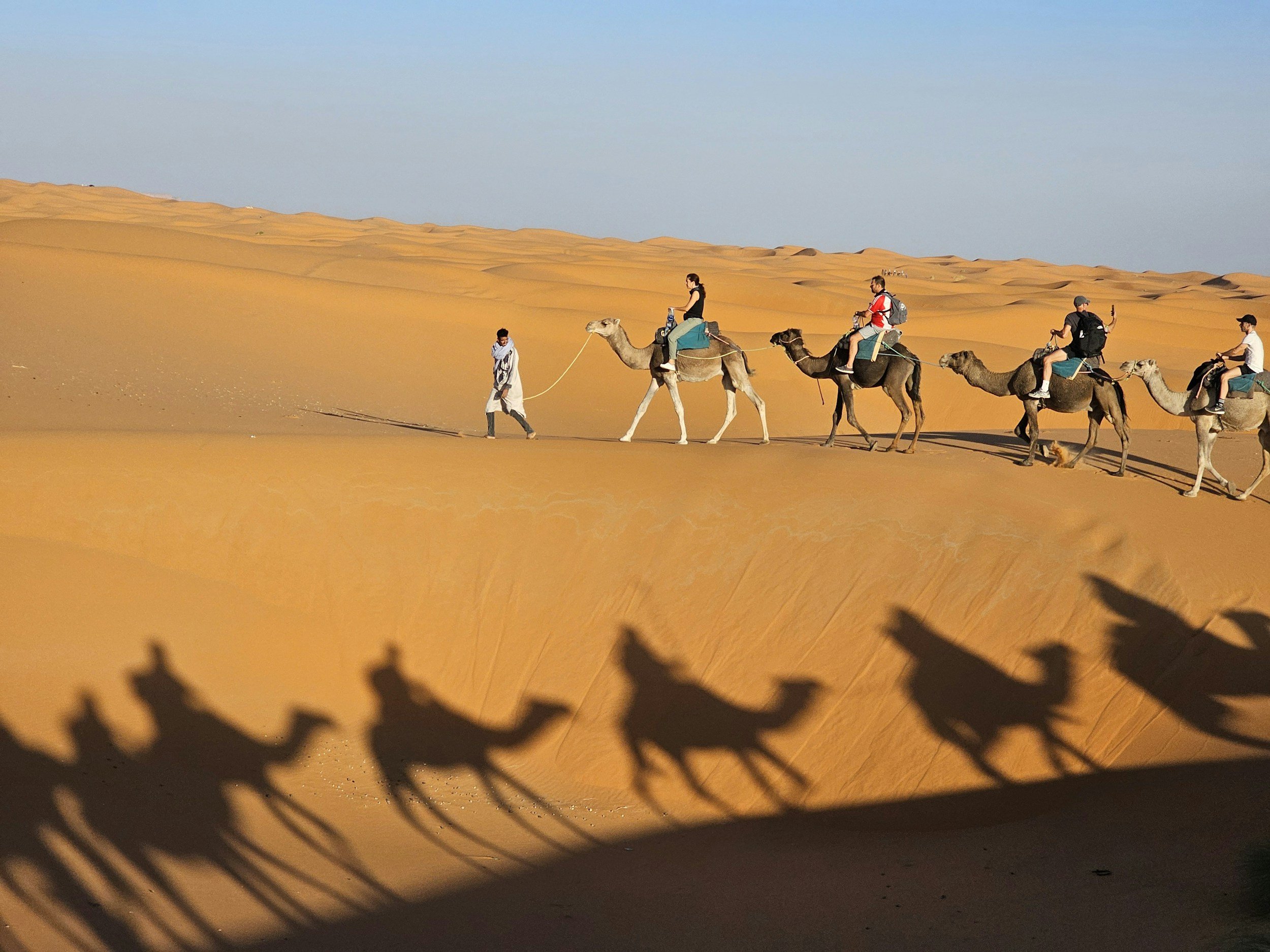 Personas montando camellos en el desierto, con dunas de arena y un cielo despejado en el fondo, sombras de ramas en primer plano.