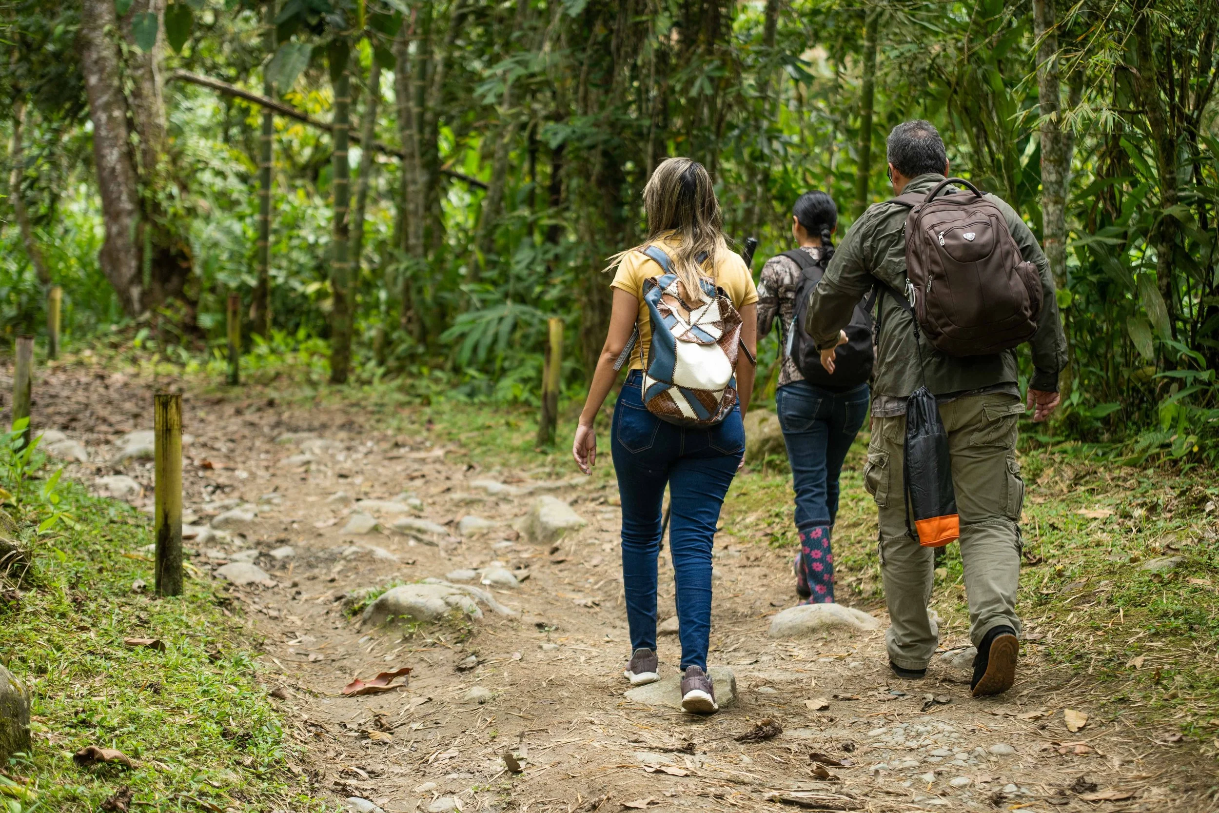 Cuatro personas caminando por un sendero en una selva tropical, con mucho follaje verde y árboles altos.