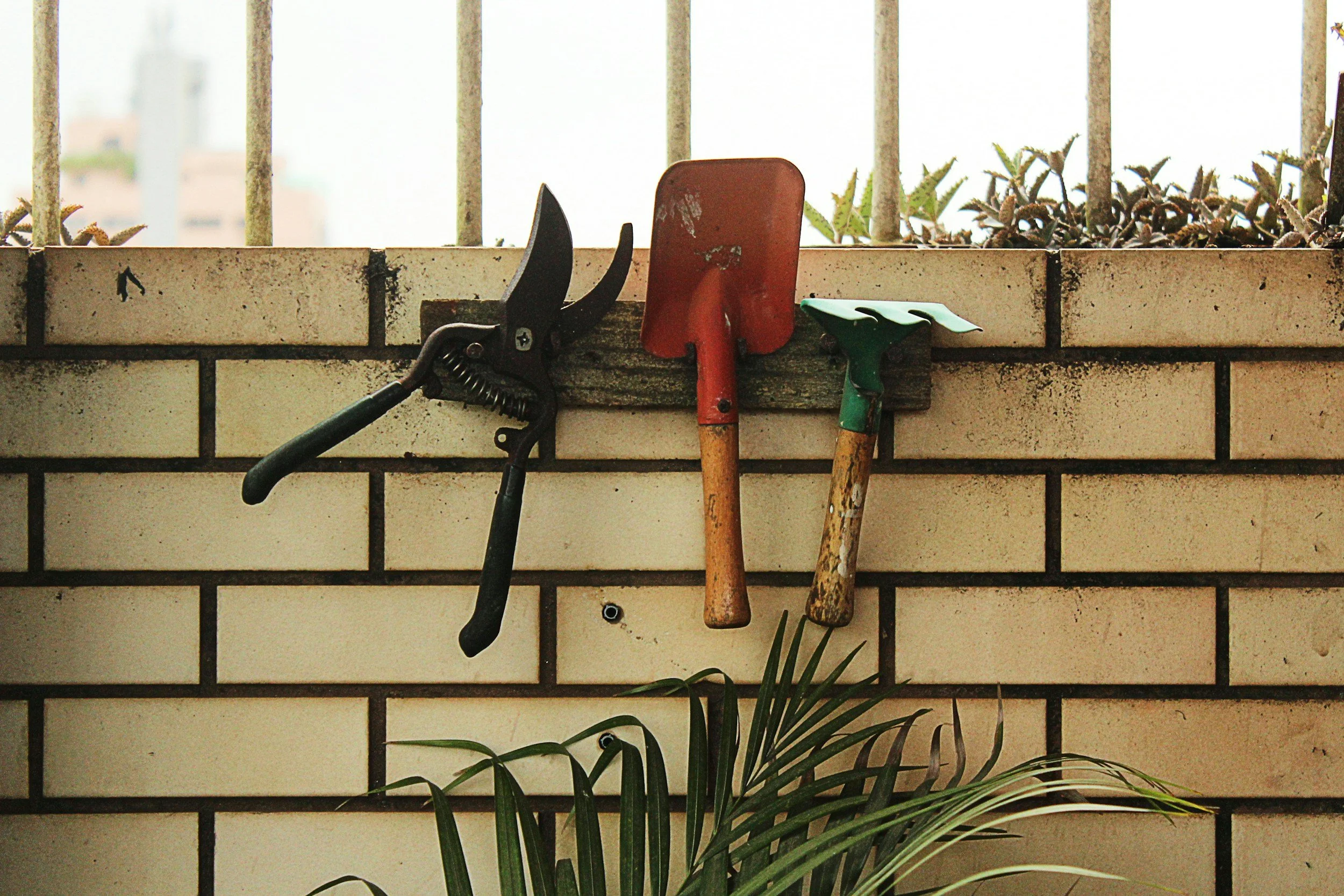 Three gardening tools hanging on a brick wall, including pruning shears, a small shovel, and a hand rake, with a plant in the foreground and a railing in the background.