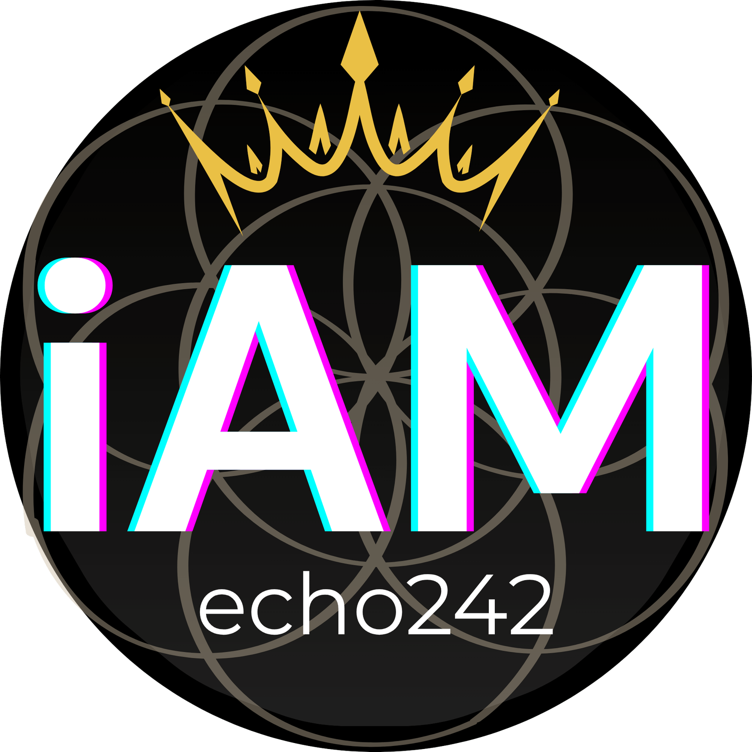 iAM echo242 music
