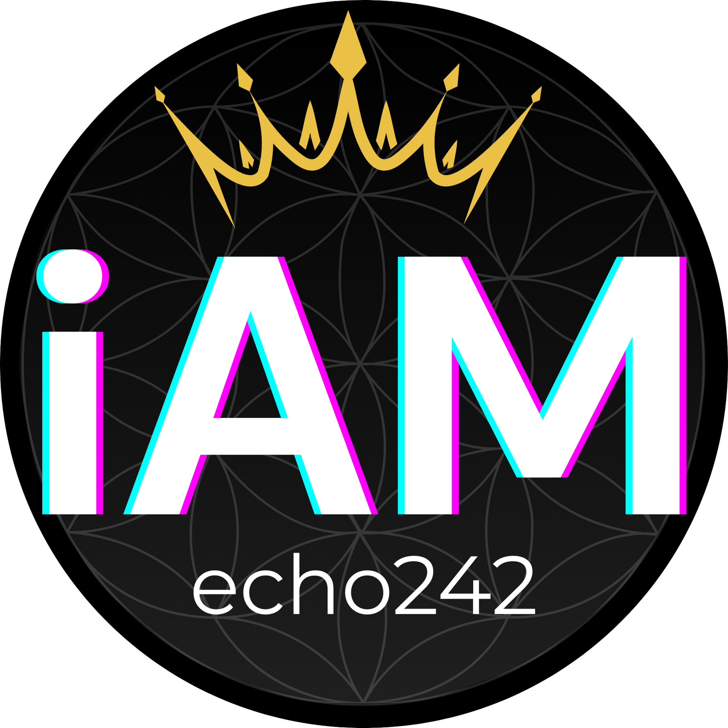 iAM echo242 music