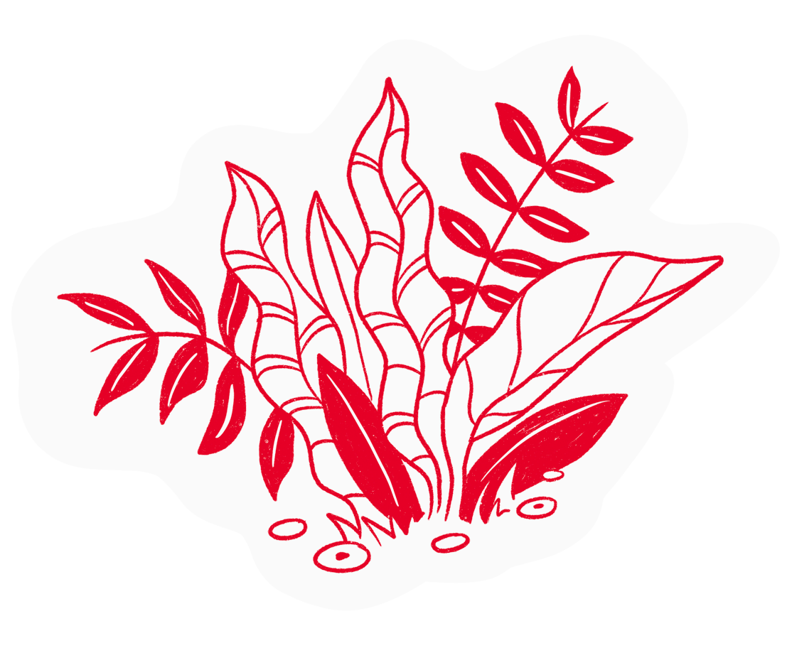 Line drawing of various plants and leaves in red on a white background.