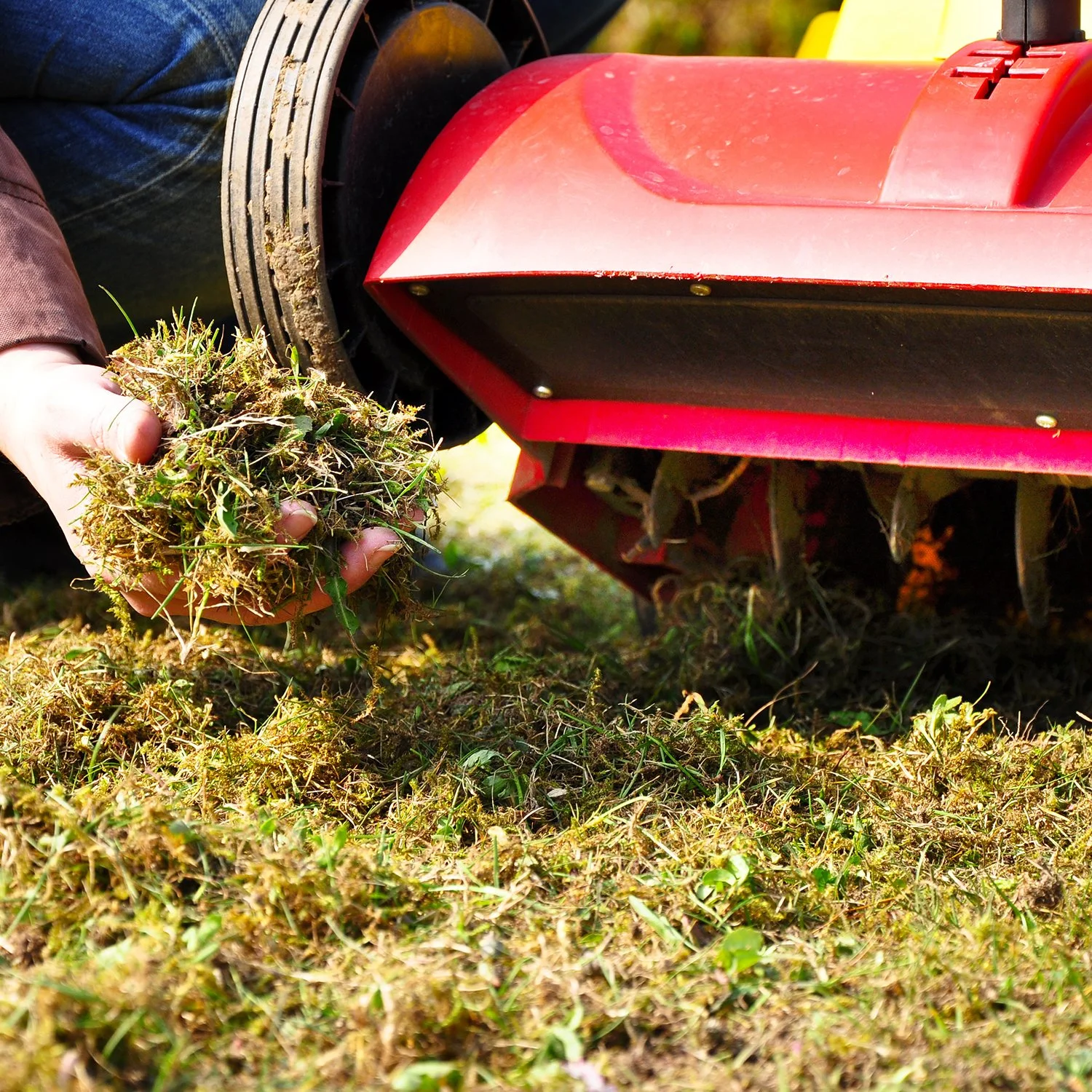 DETHATCHING TREATMENT